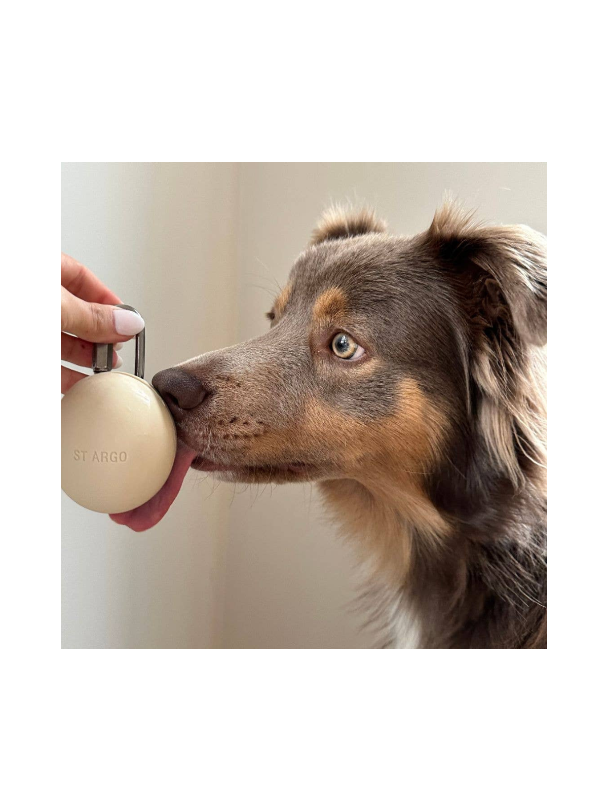 Treat Pouch – Cream