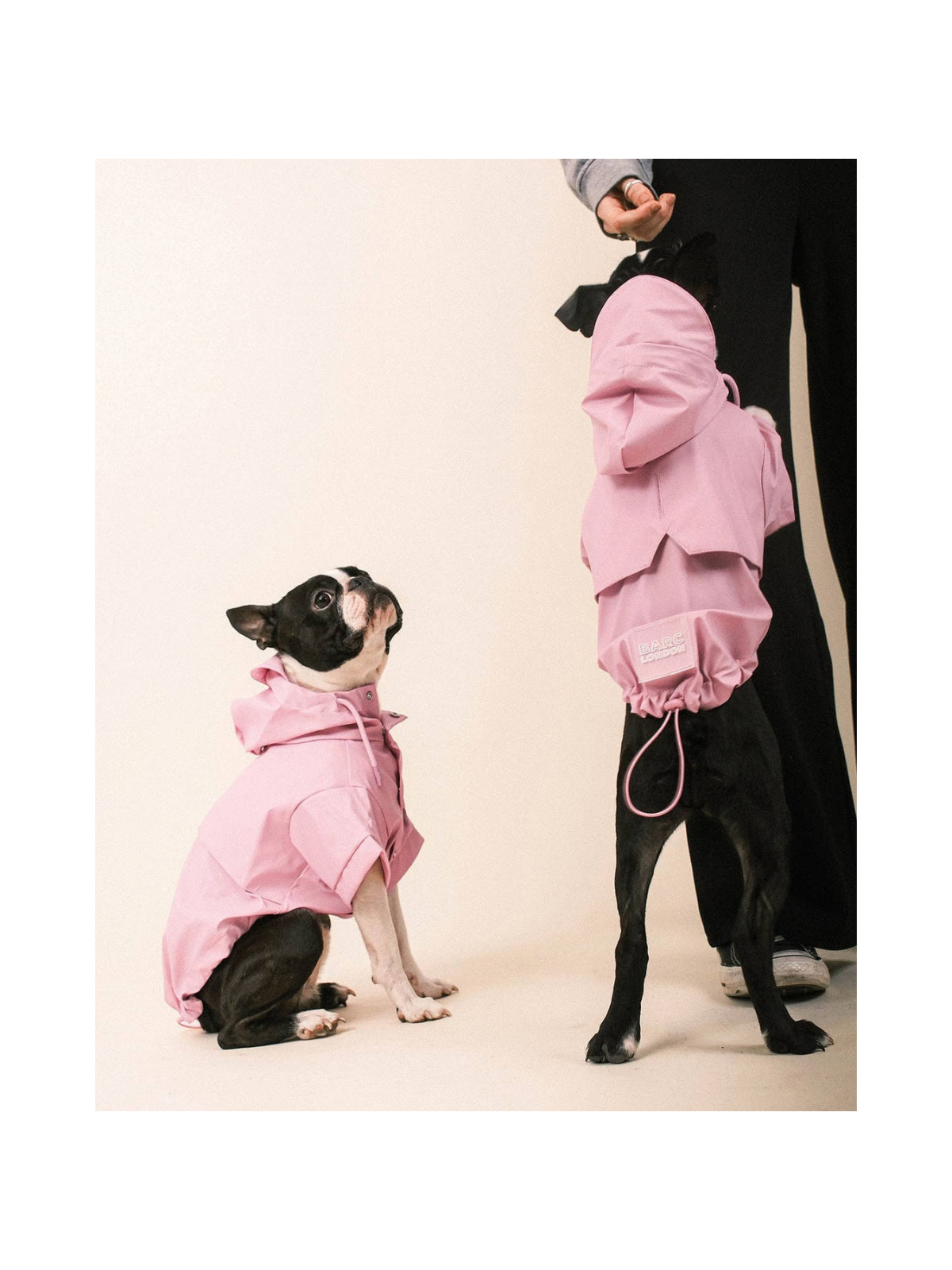 Pink Dog Raincoat