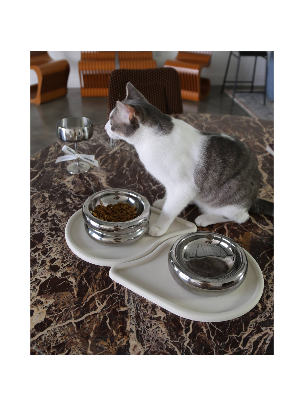 Chrome Halo Pet Bowl
