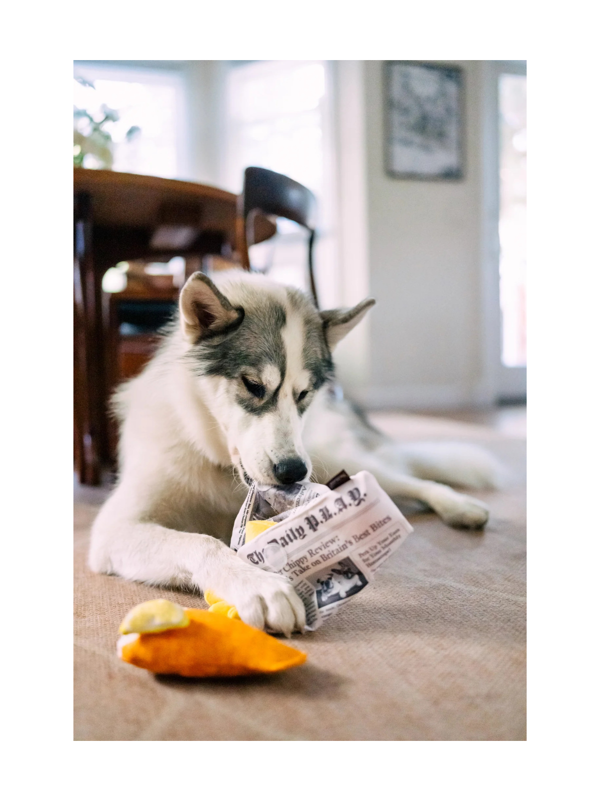International Classic Chippy Chews