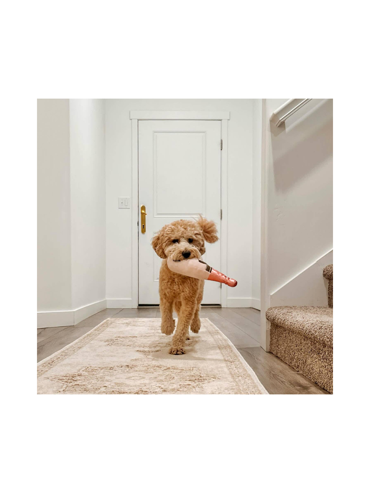 Pink Champagne Bottle Dog Toy