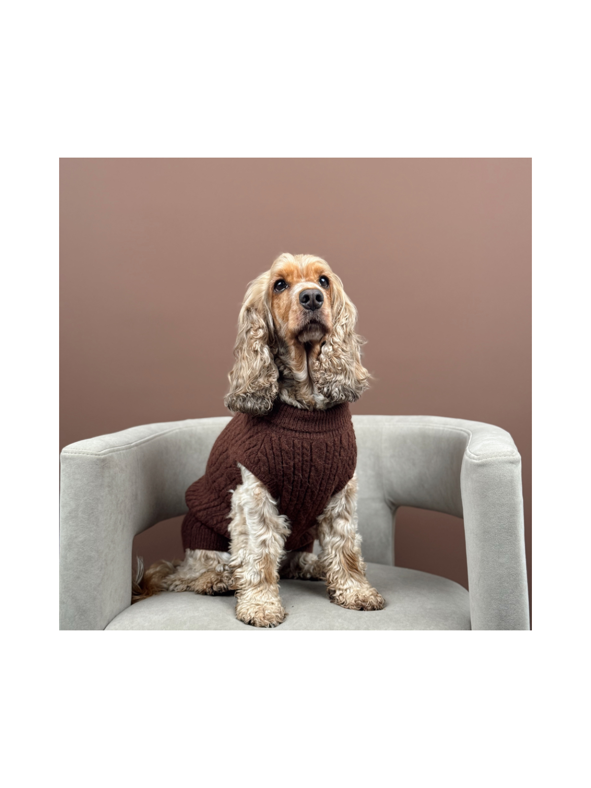 Cable Knit Dog Sweater - Hot Coco
