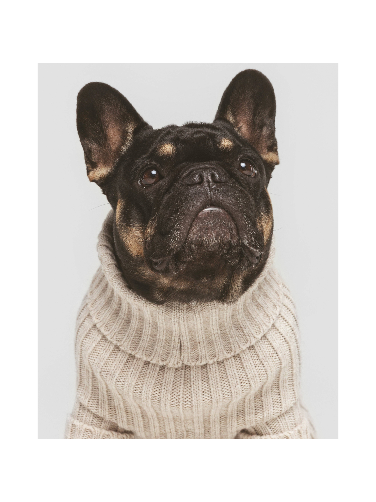 Pantone Sweater – Bone