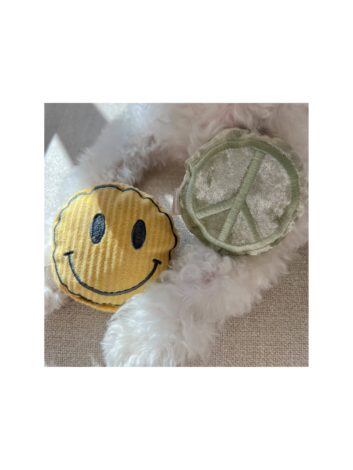 Roller Skate Snuffle Toy