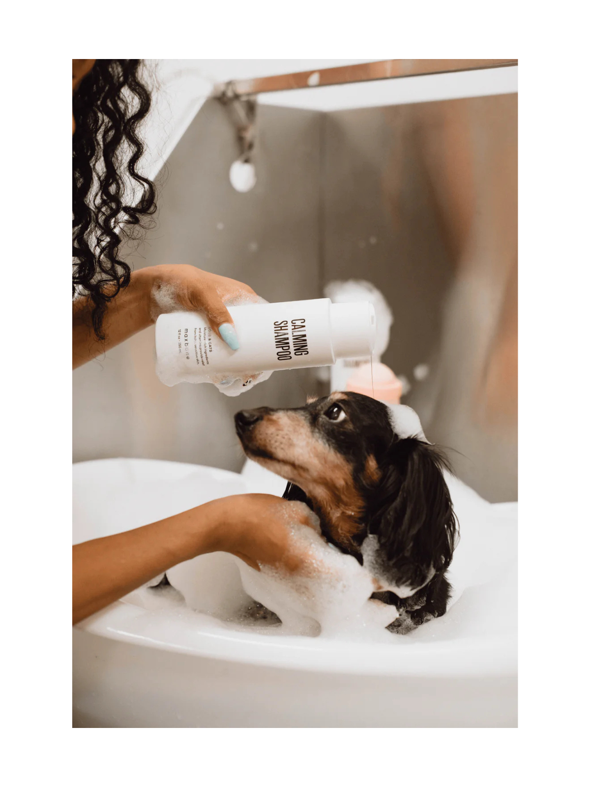 Calming Dog Shampoo – Aloe & Oatmeal