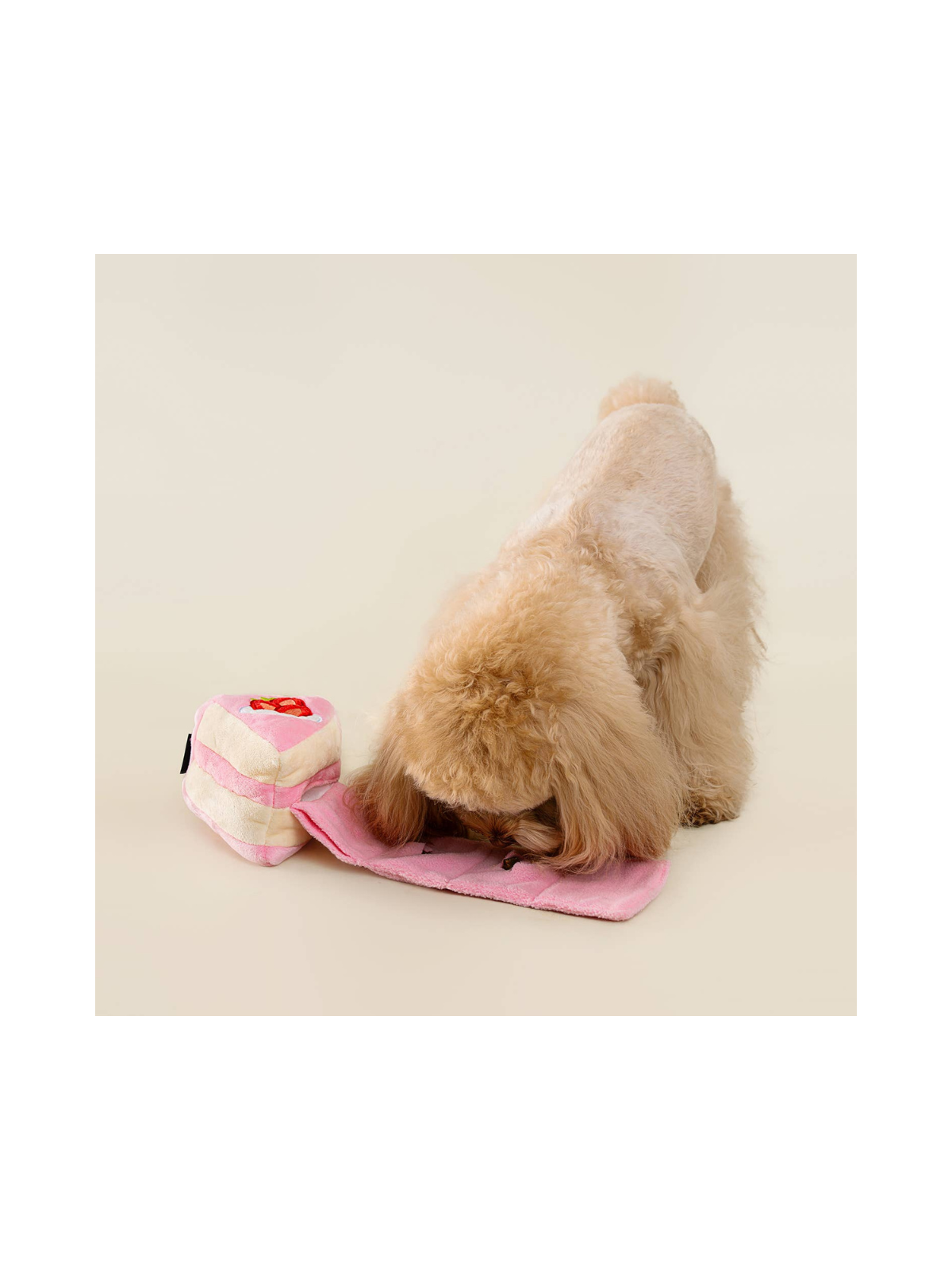 Strawberry Birthday Cake Puzzle Toy