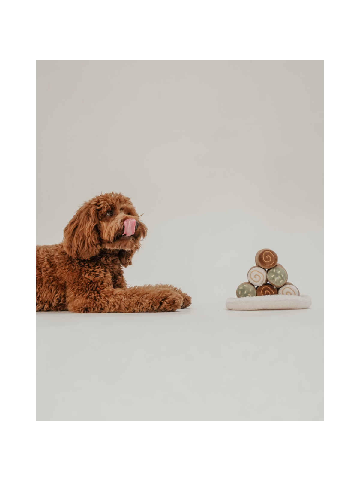 Cannoli Pyramid Interactive Dog Toy
