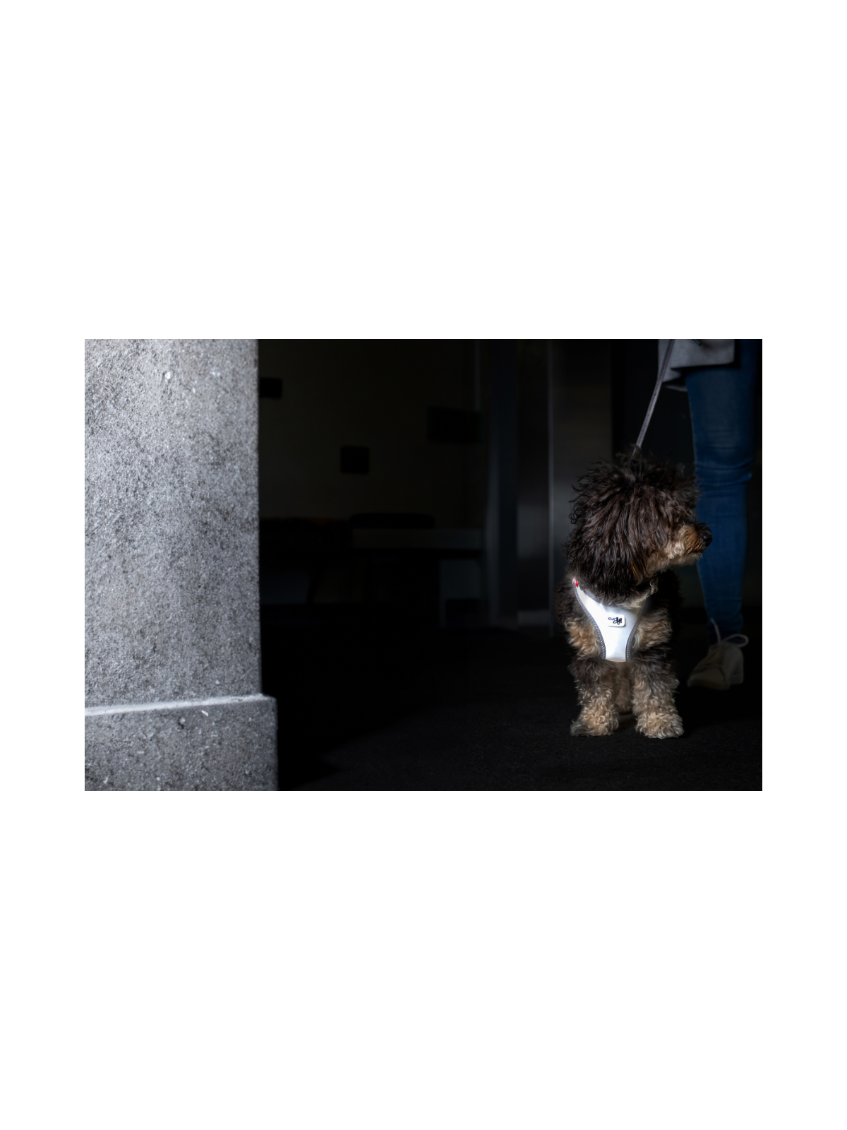 Glow Vest Reflective Harness – Grey