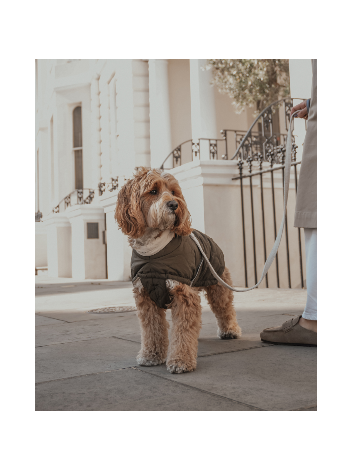 The Capsule Quilted Dog Coat – Forest Green