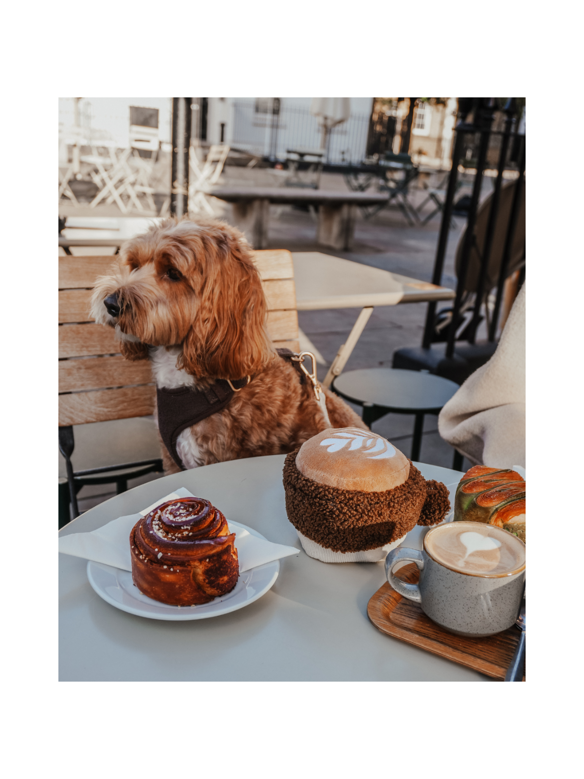 Flat White Cup Interactive Dog Toy