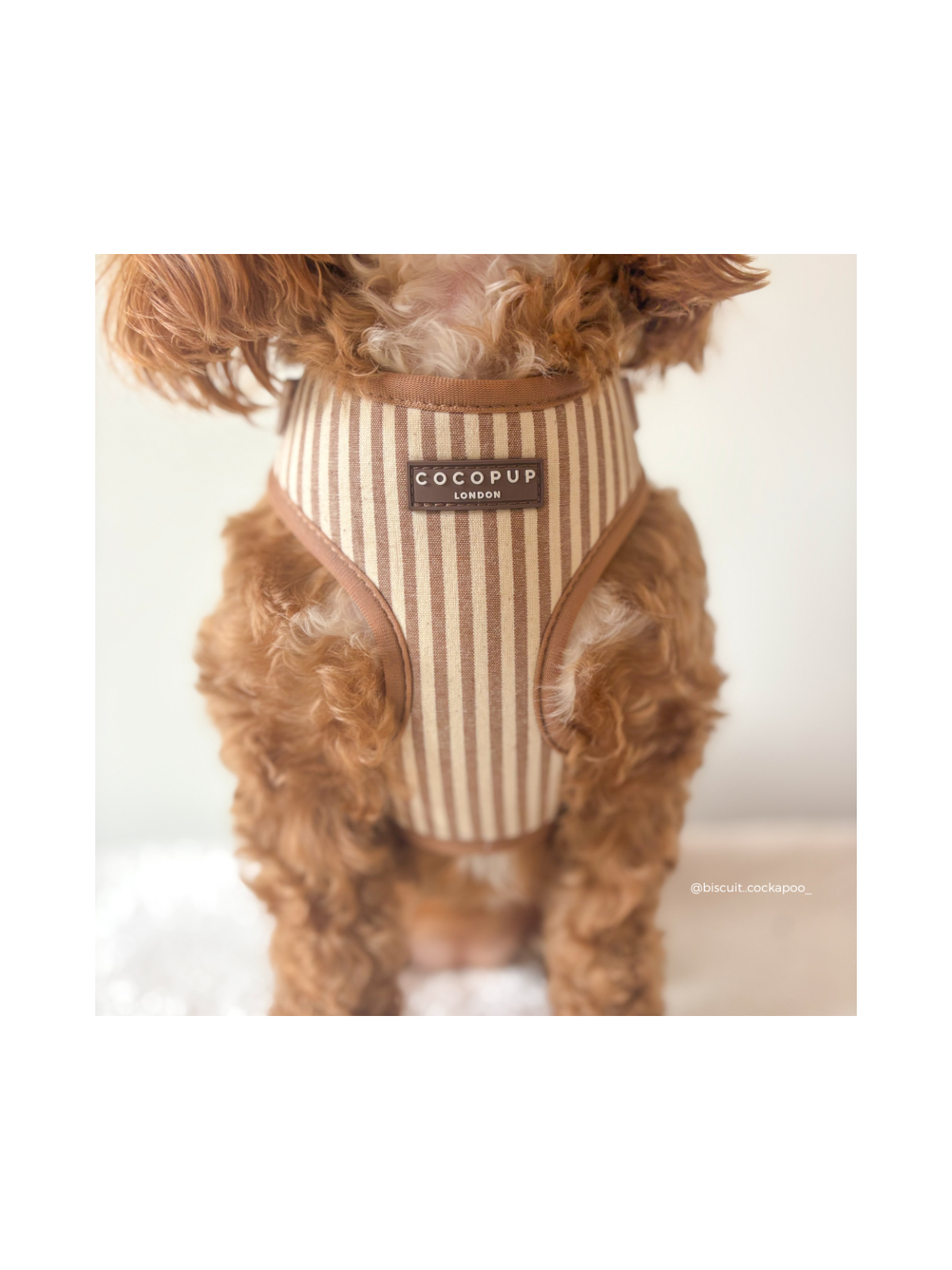 London Linen Stripes Adjustable Neck Harness – Taupe