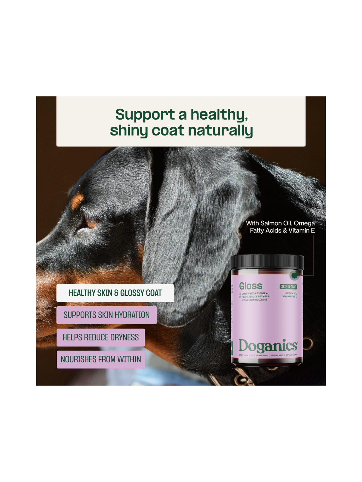 Gloss Skin & Coat Soft Chews