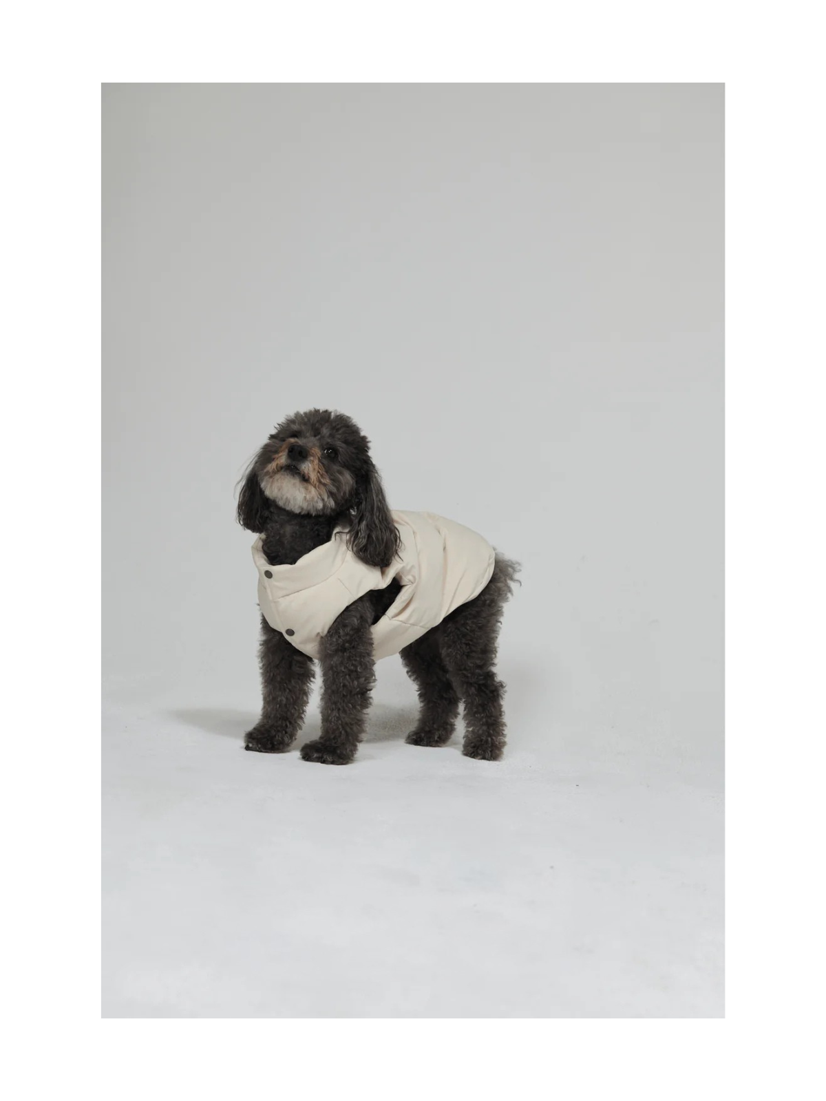 Arabella Puffer Dog Vest