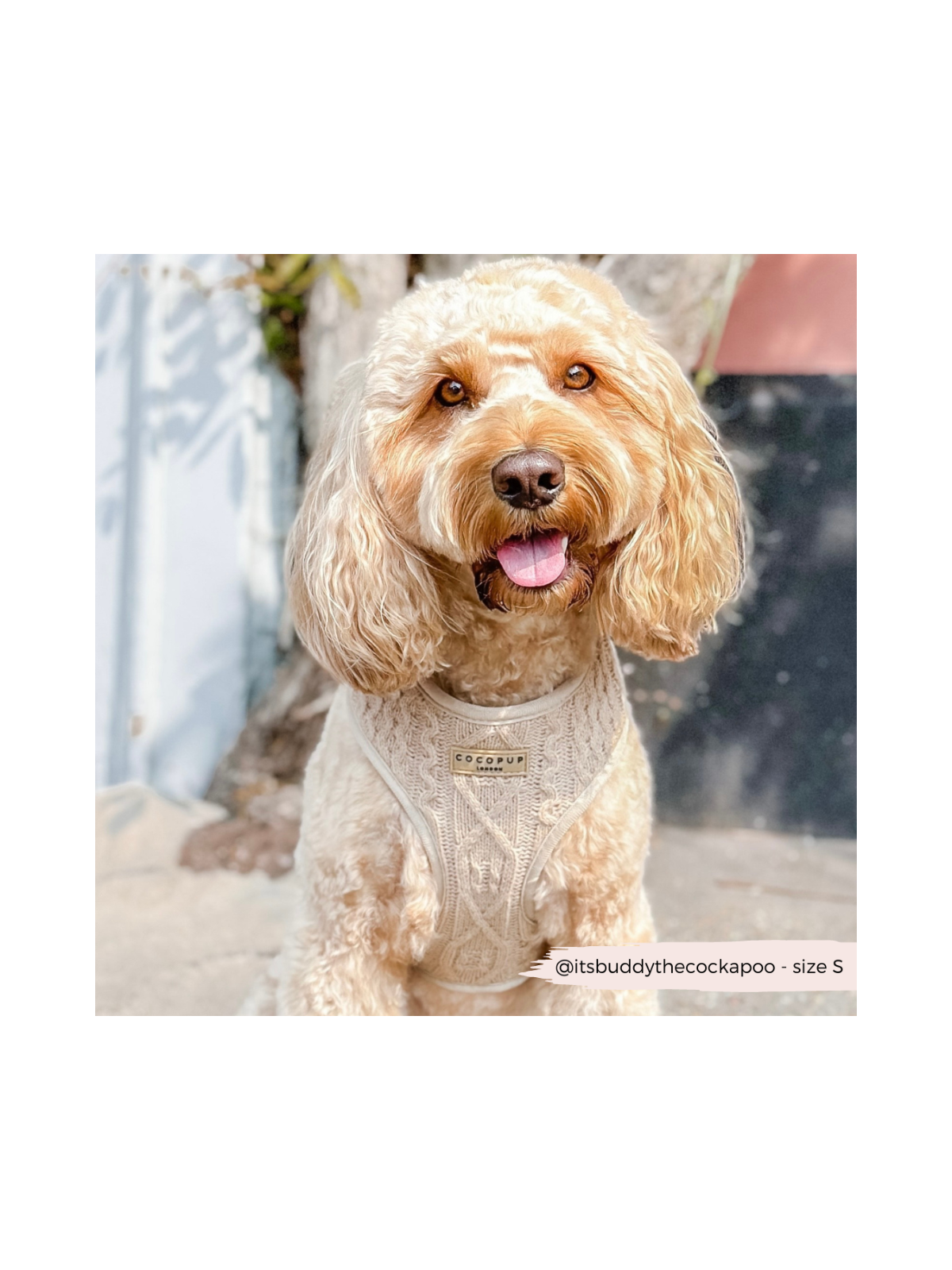 Cable Knit Jumper Adjustable Neck Harness - Toffee Beige