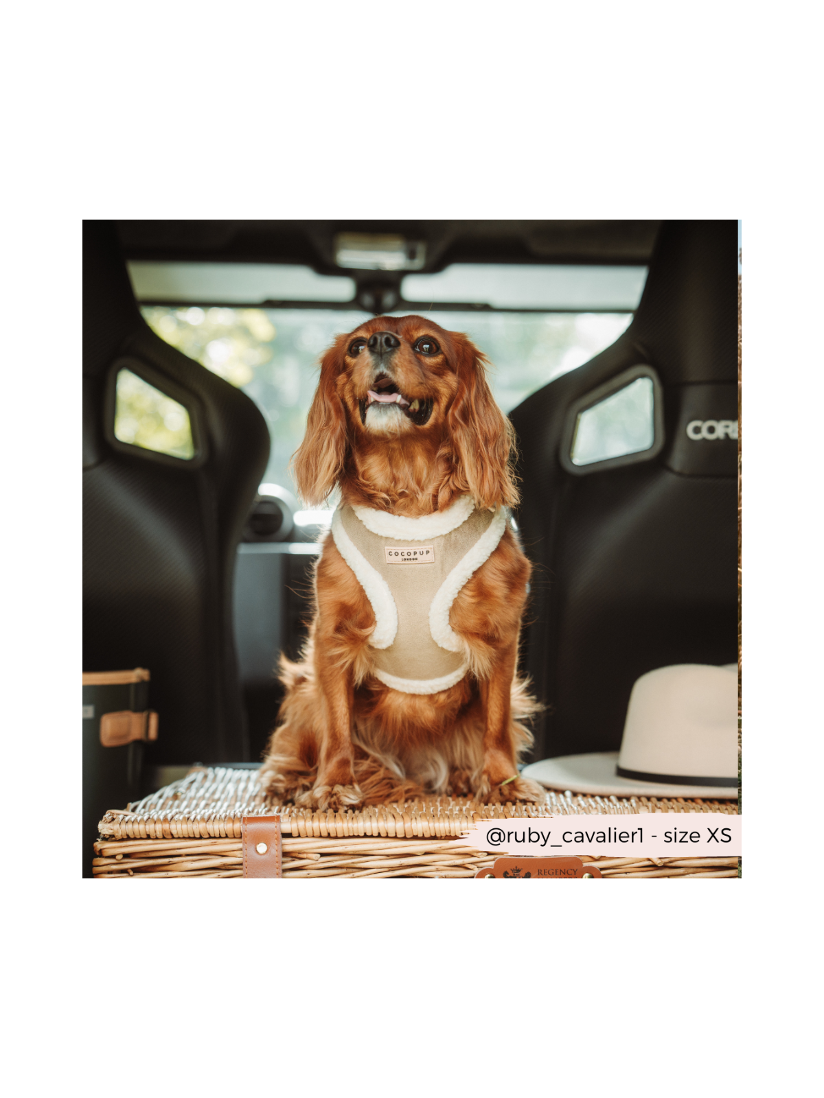 Nude Aviator Adjustable Neck Harness – Faux Suede with Fluffy Trim