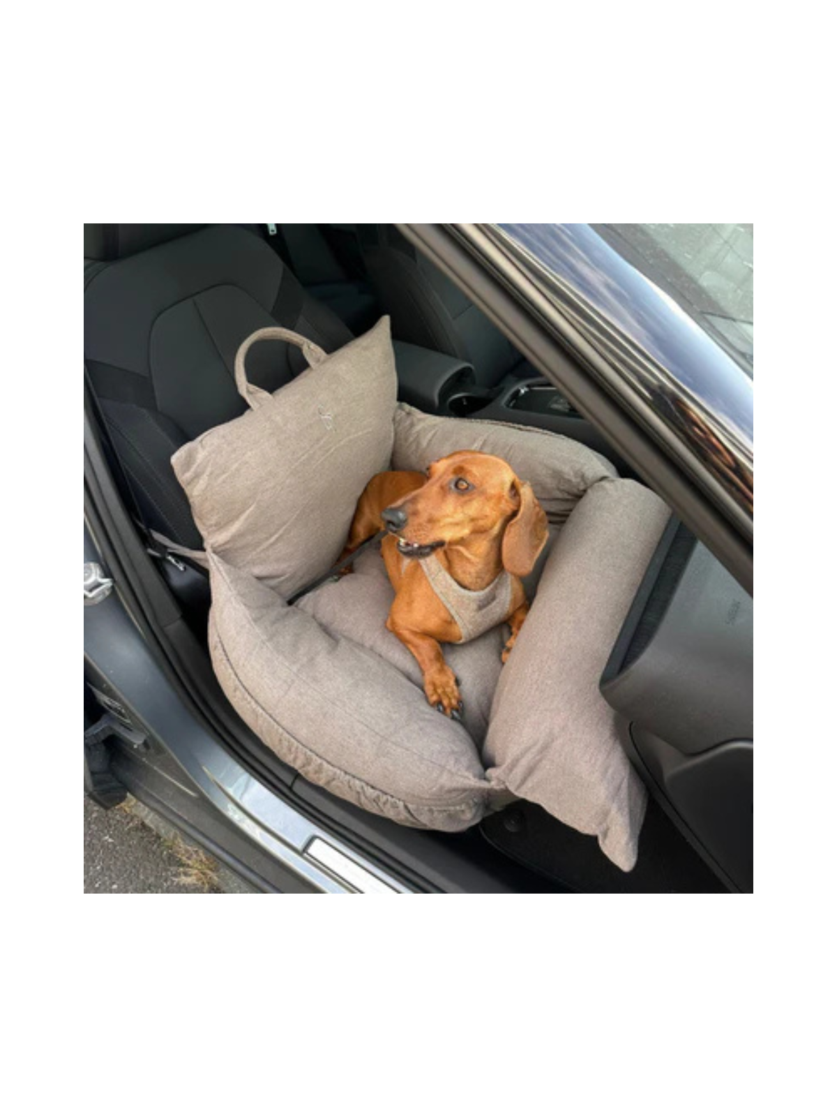 3-in-1 Dog Car Seat & Carrier – Taupe
