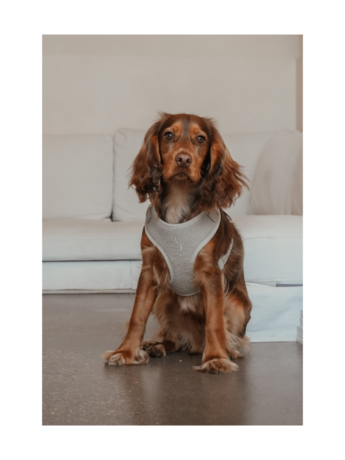 Bouclé Adjustable Harness – Matcha