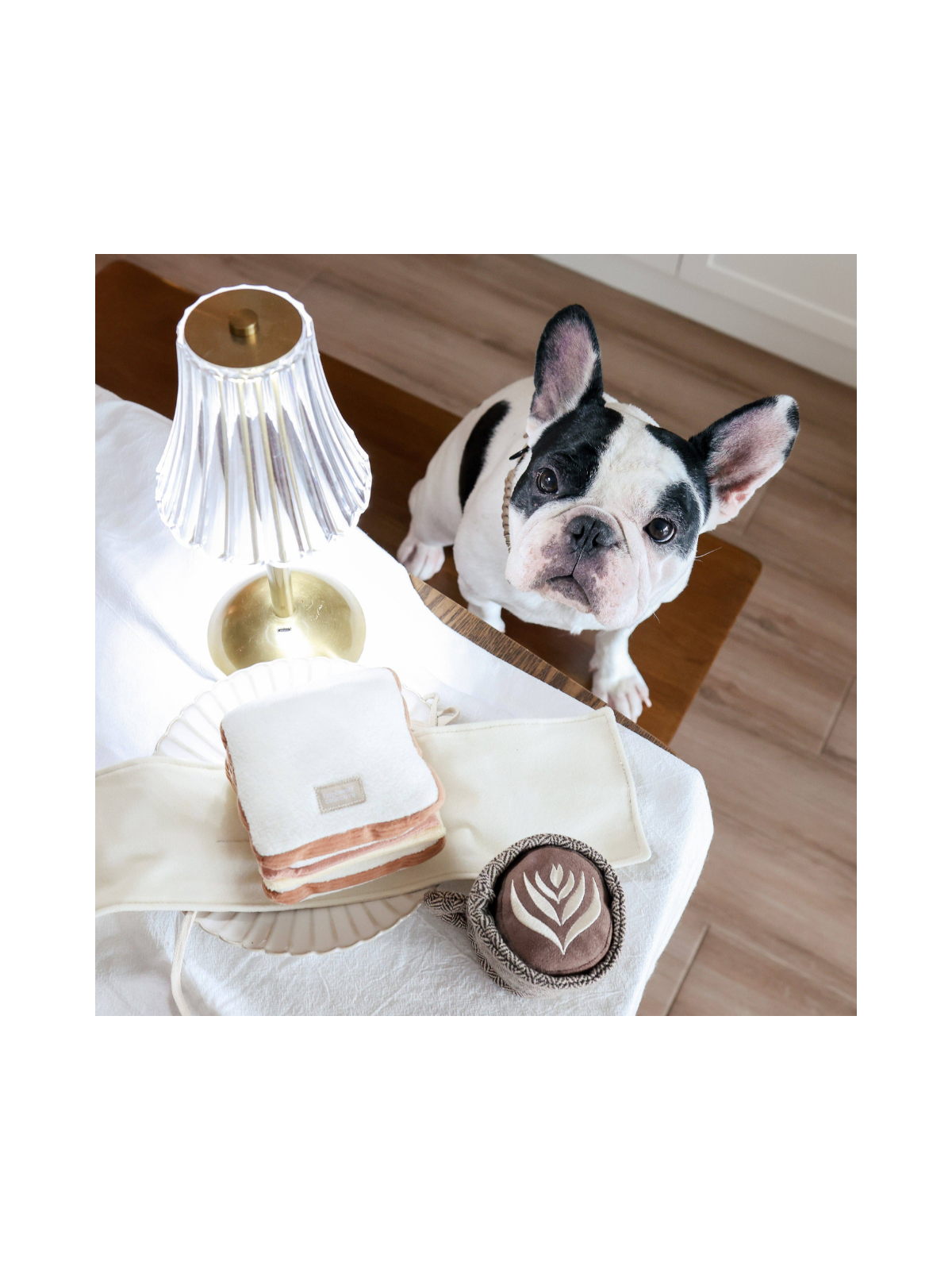 Latte Pop Enrichment Toy
