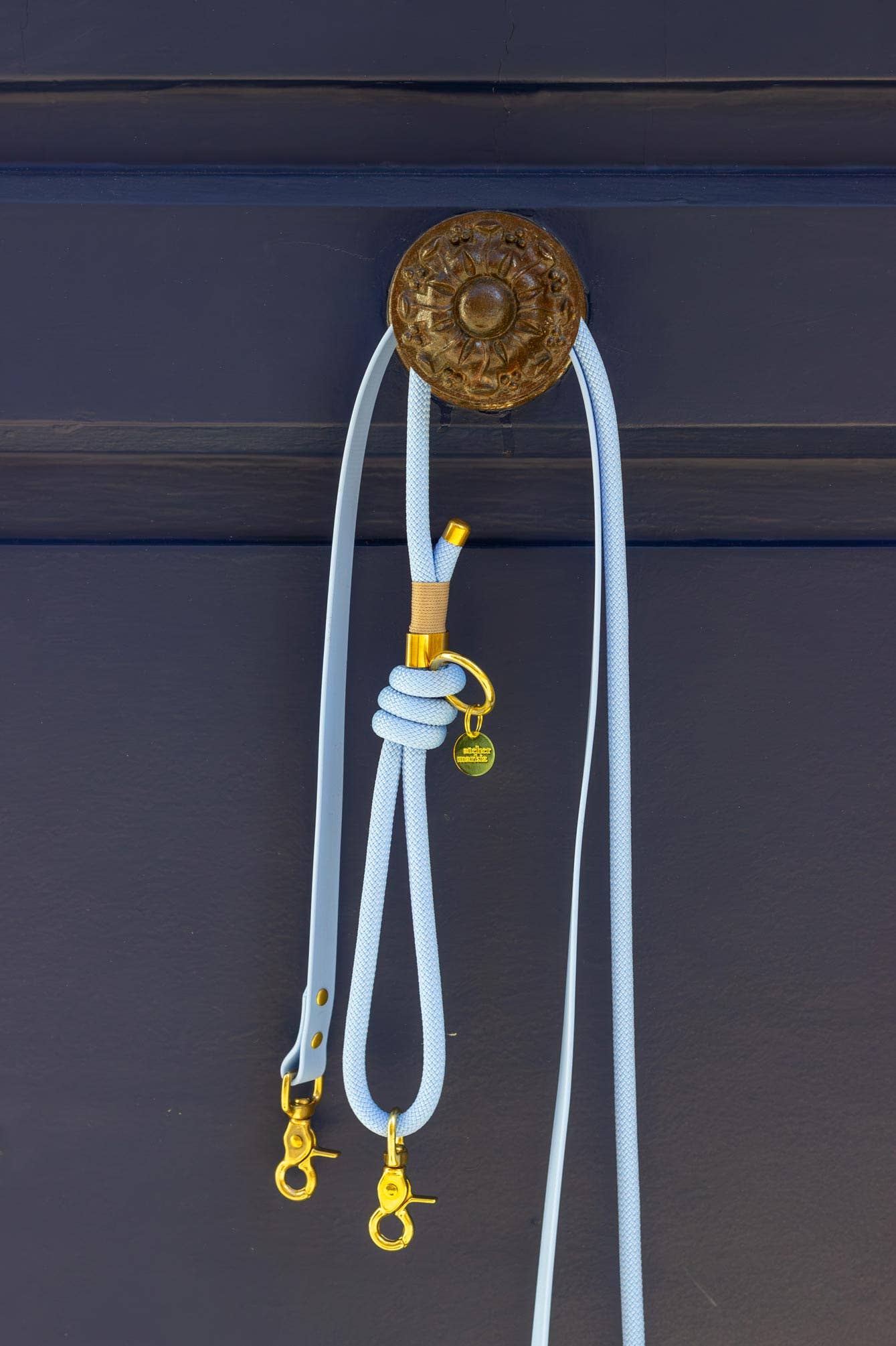 Polar Blue Hands-Free Rope × Biothane Leash – Silver Hardware