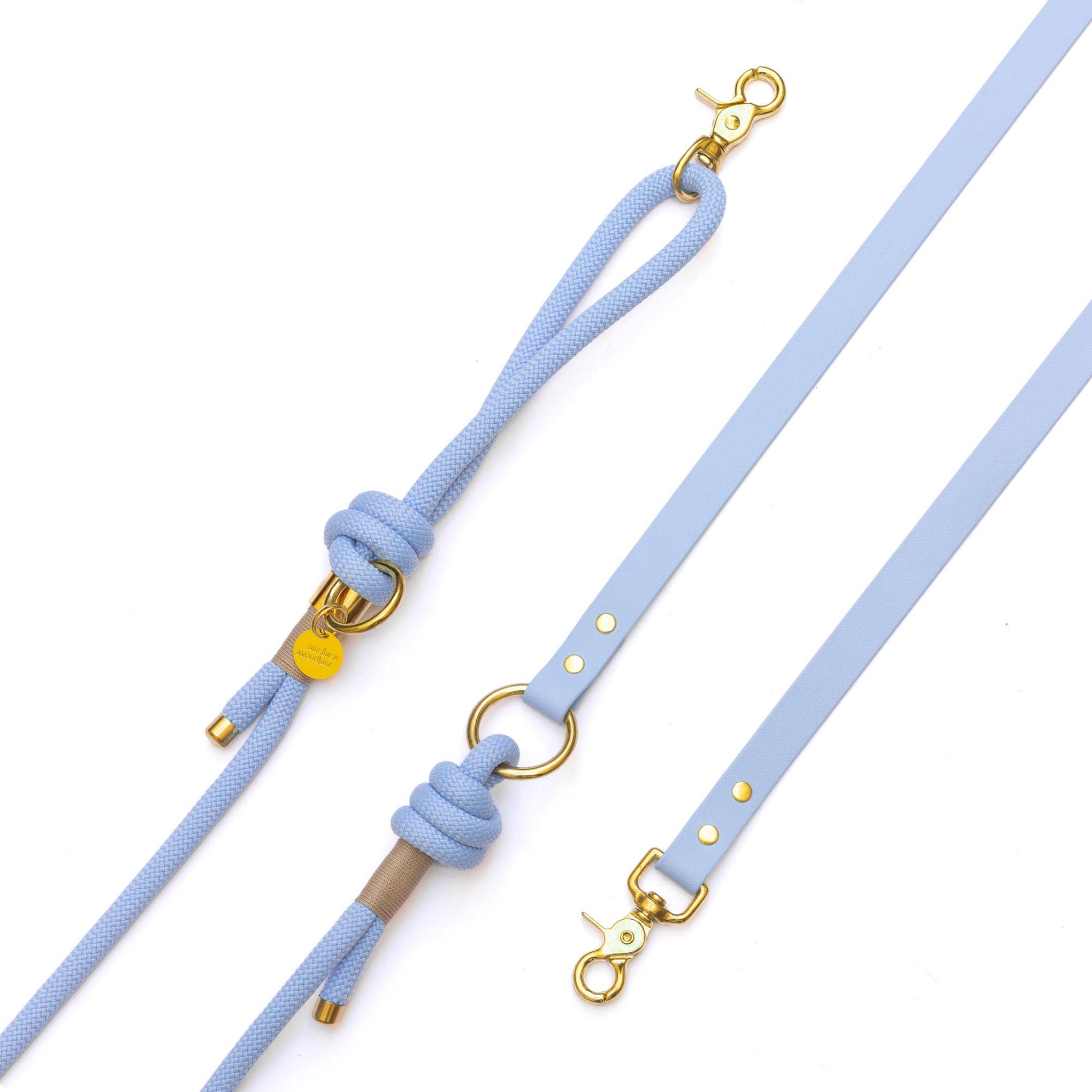 Polar Blue Hands-Free Rope × Biothane Leash – Silver Hardware