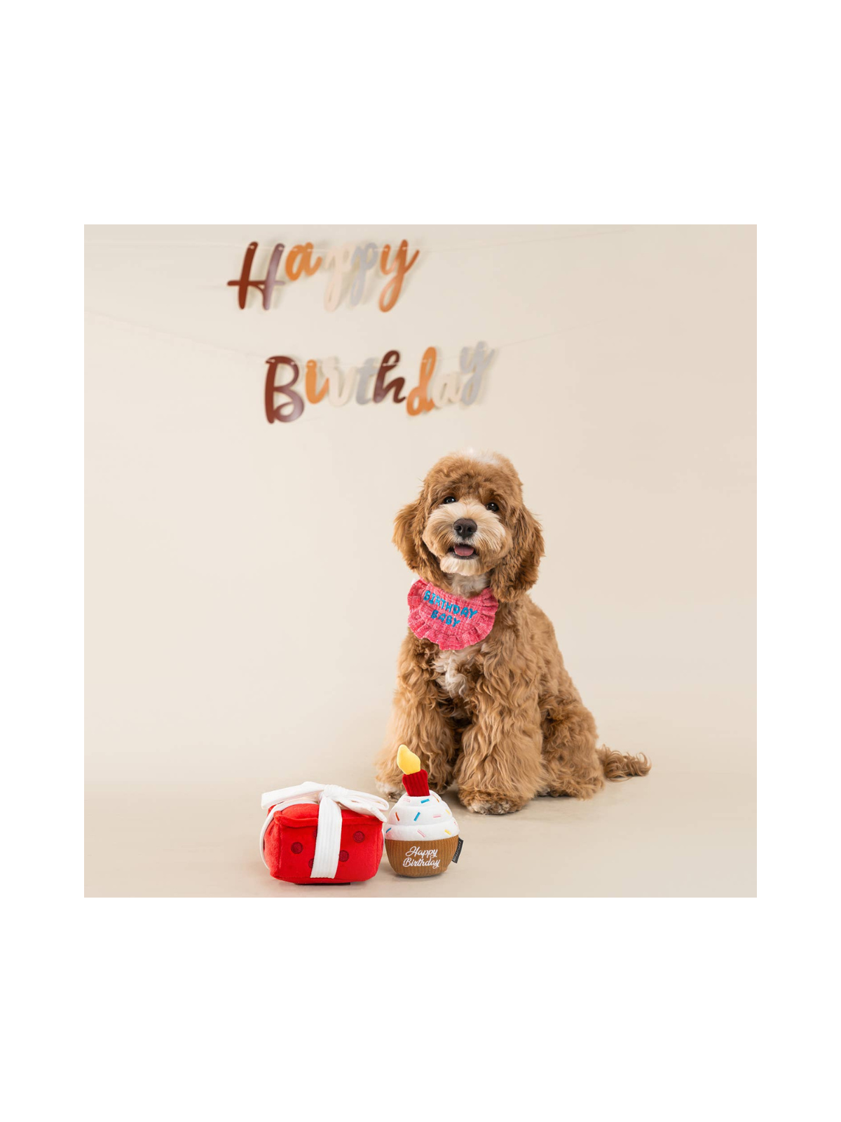 Cupcake Interactive Birthday Toy