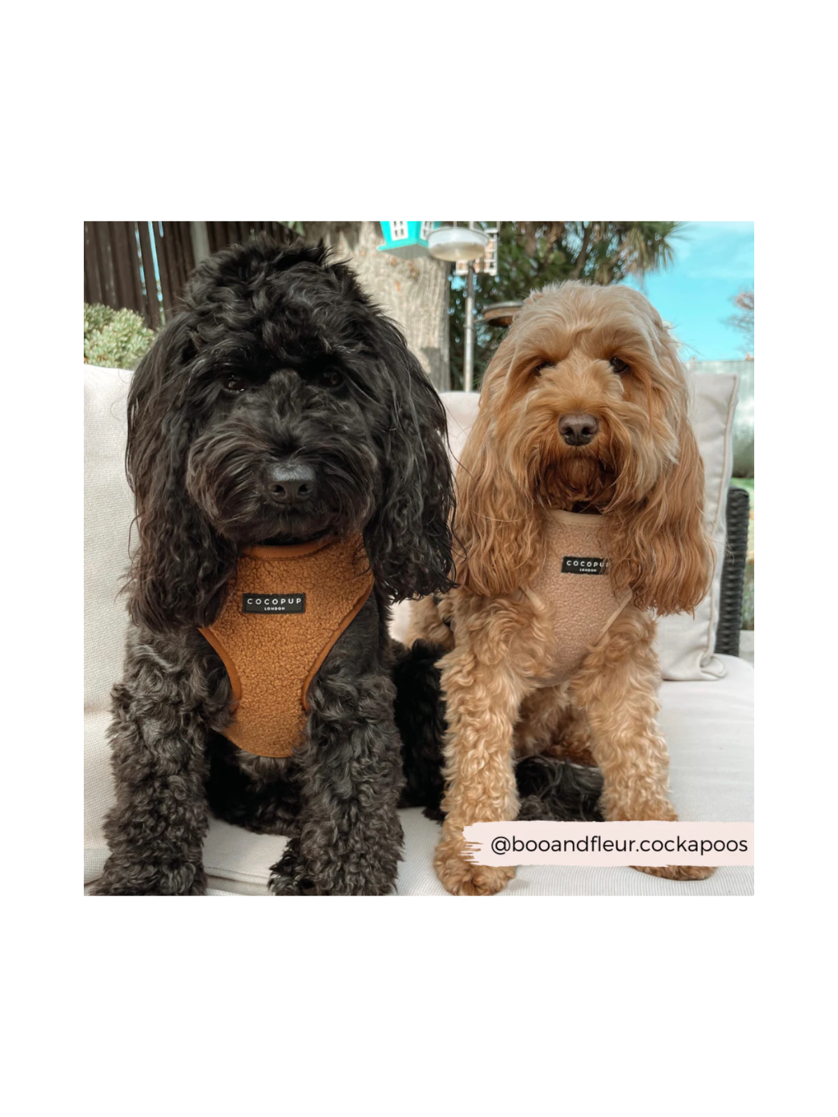 Teddy Adjustable Neck Harness – Paddington Brown