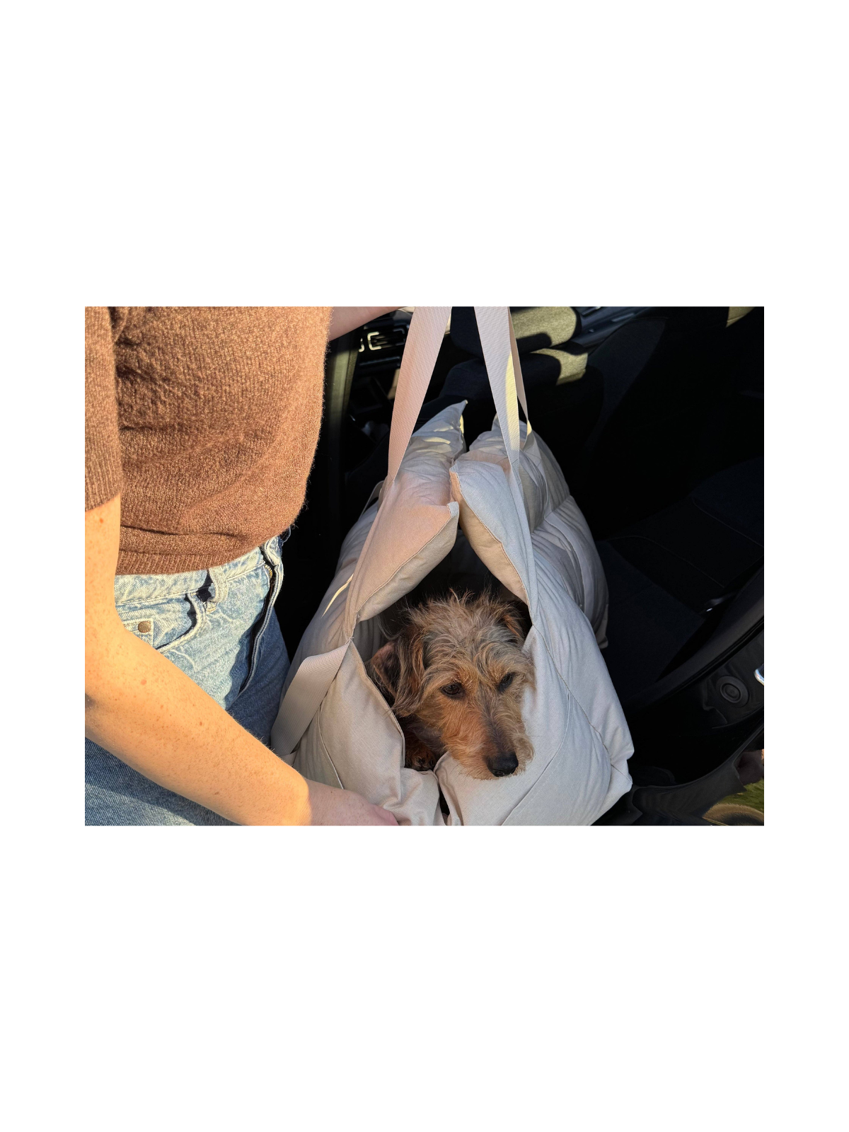 Dog Car Seat – Beige