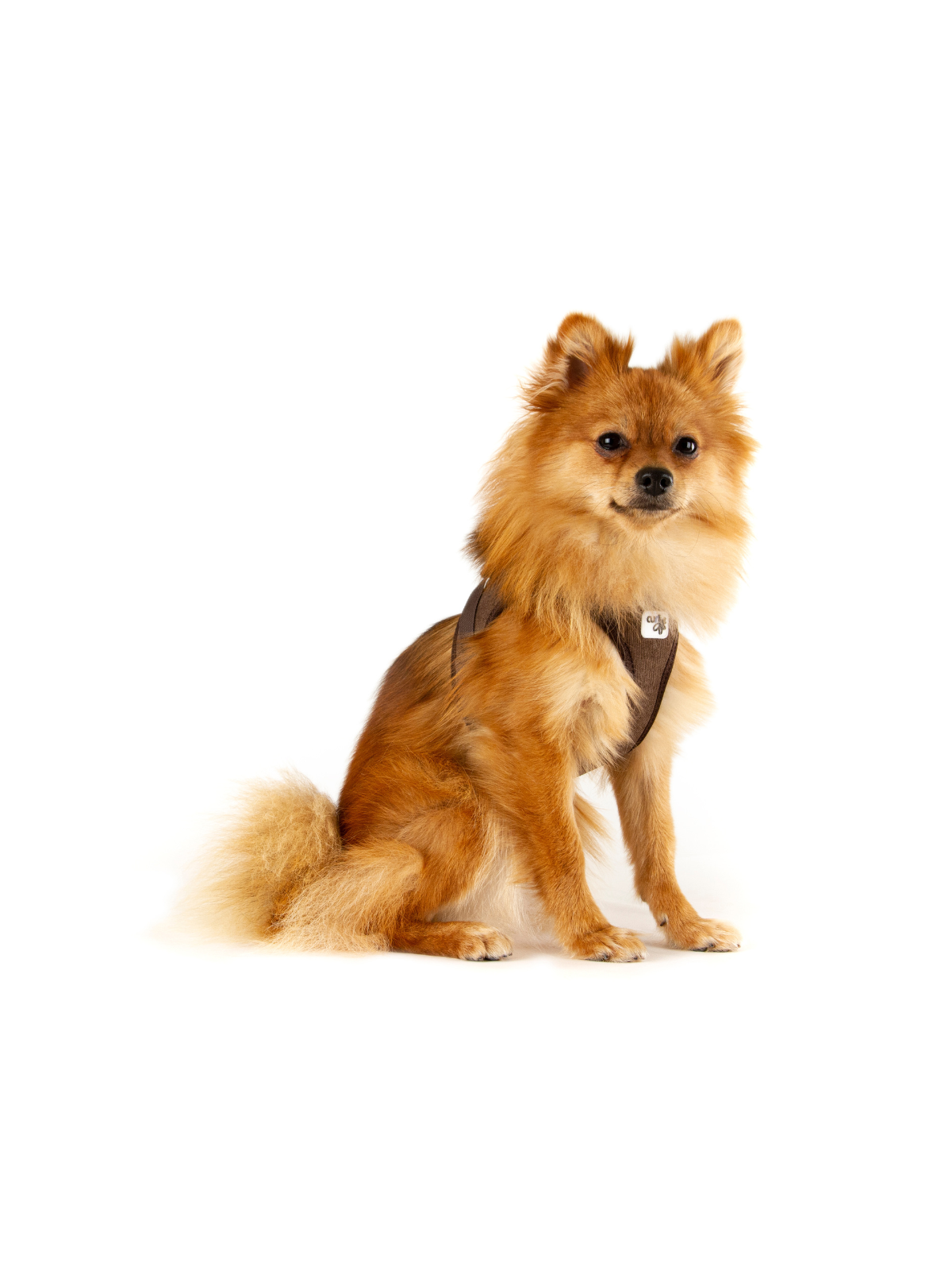 Cord Vest Harness – Brown