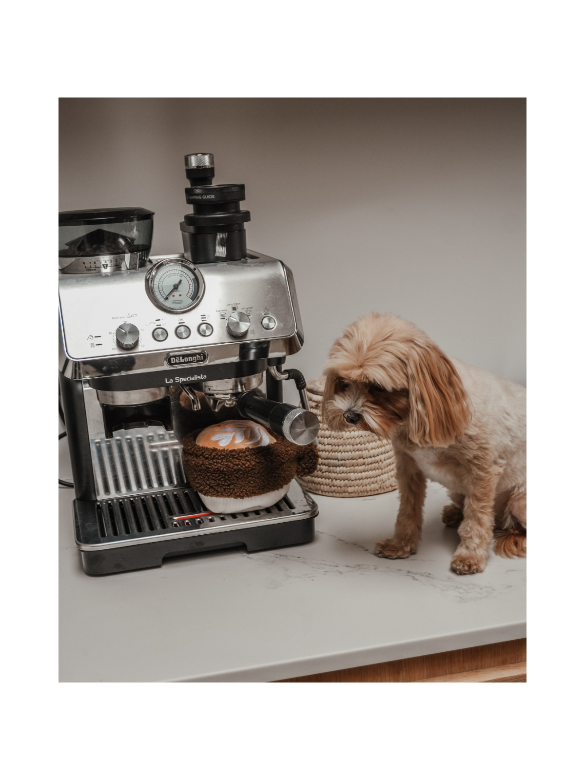 Flat White Cup Interactive Dog Toy