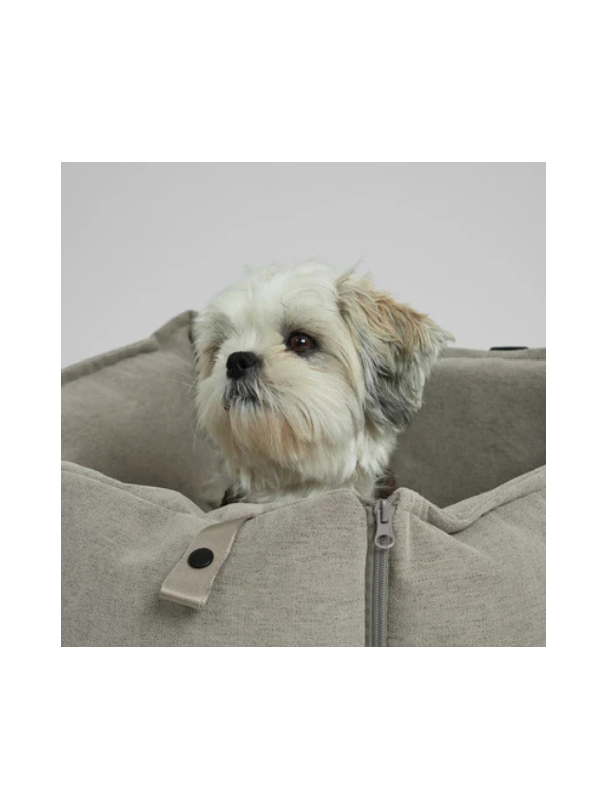 2-in-1 Dog Car Seat & Travel Bed – Dune
