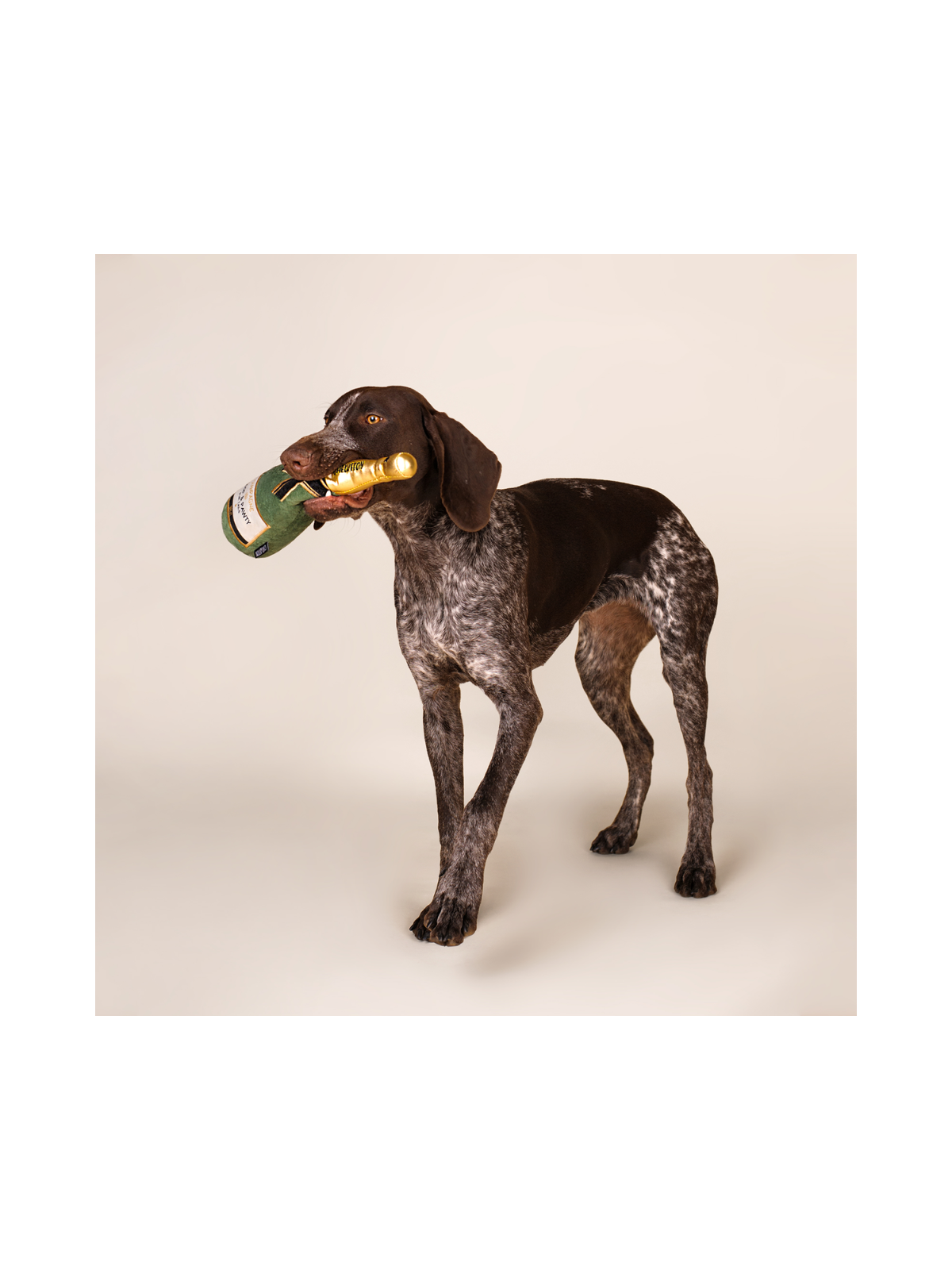 Champagne Bottle Dog Toy
