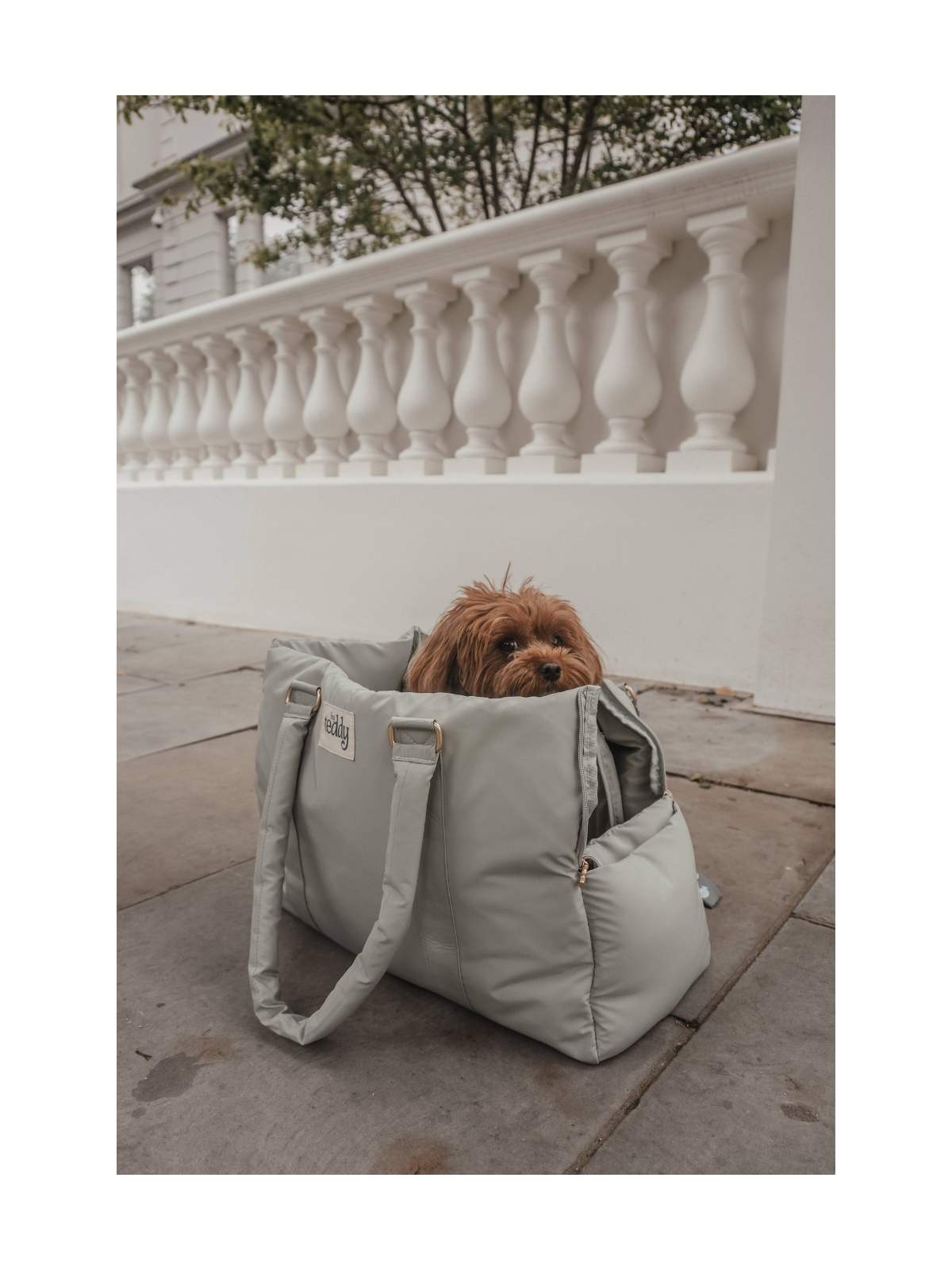 Puffer Dog Carrier – Matcha