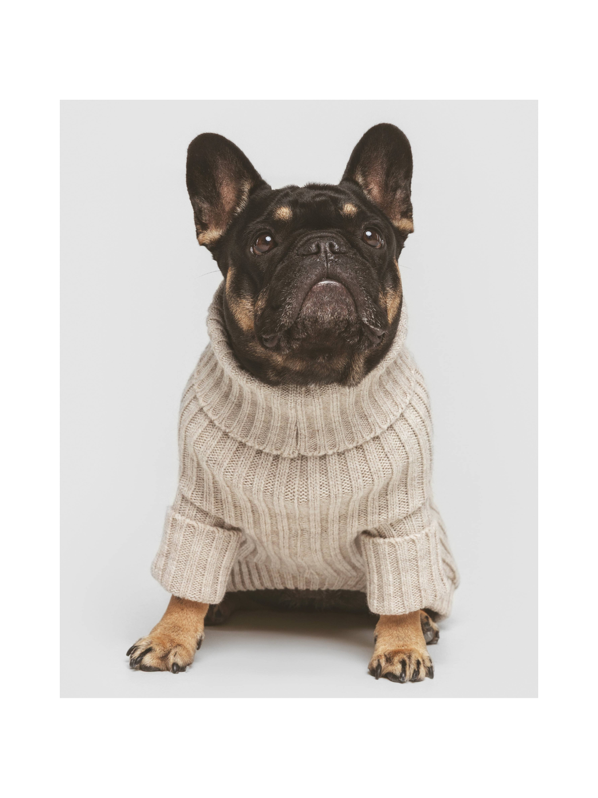 Pantone Sweater – Bone