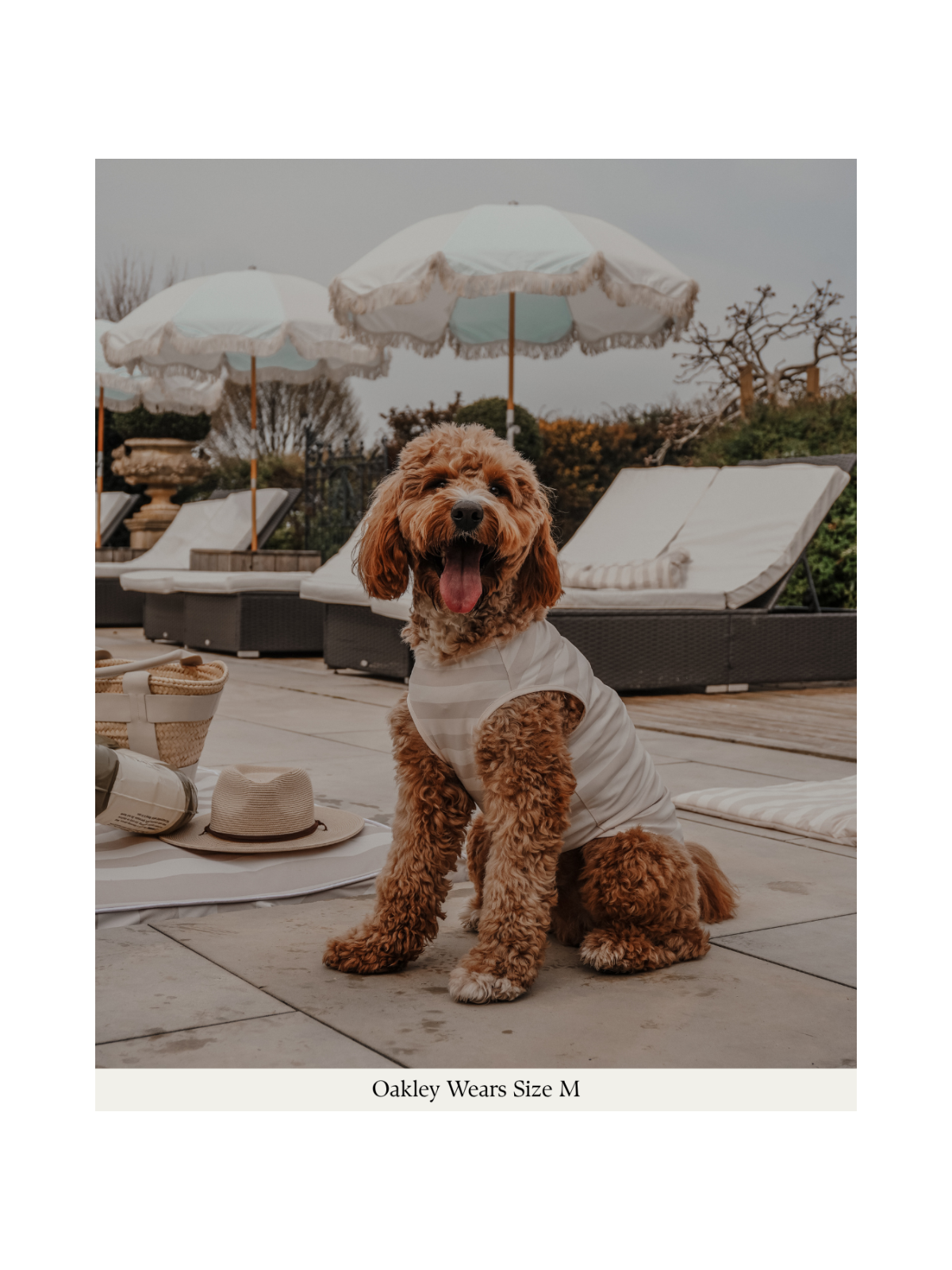 Summer Breeze Cooling Vest – Hazelnut Stripe