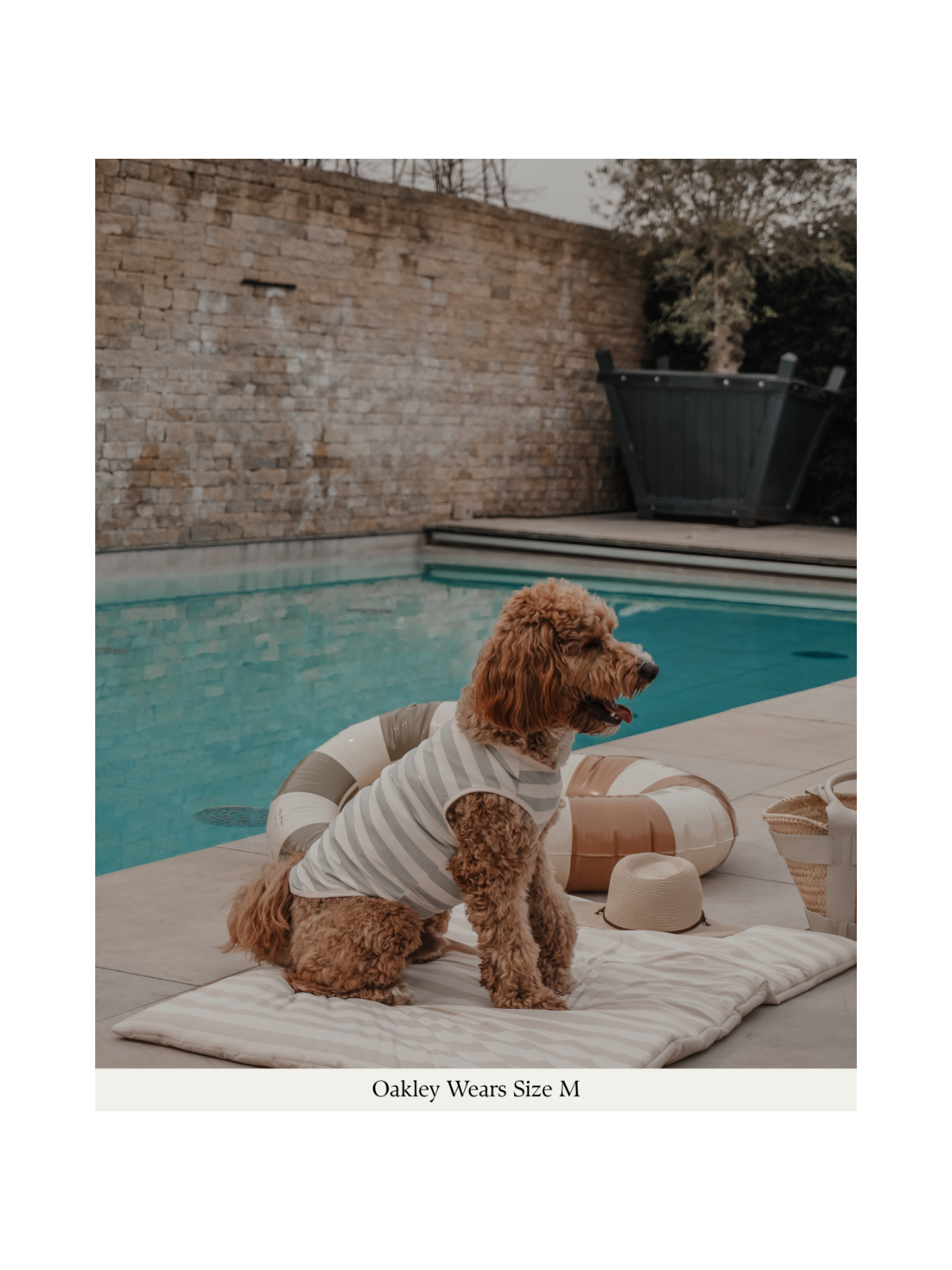 Summer Breeze Cooling Vest – Matcha
