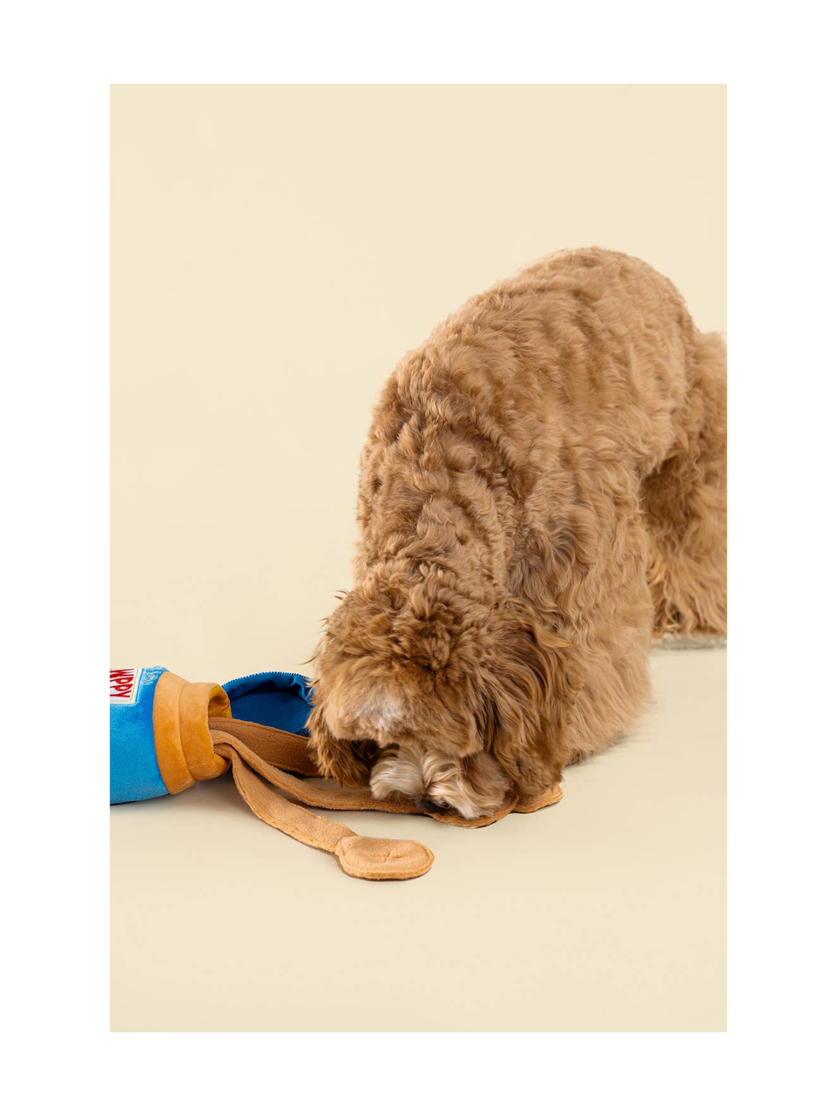 Peanut Butter Enrichment Puzzle