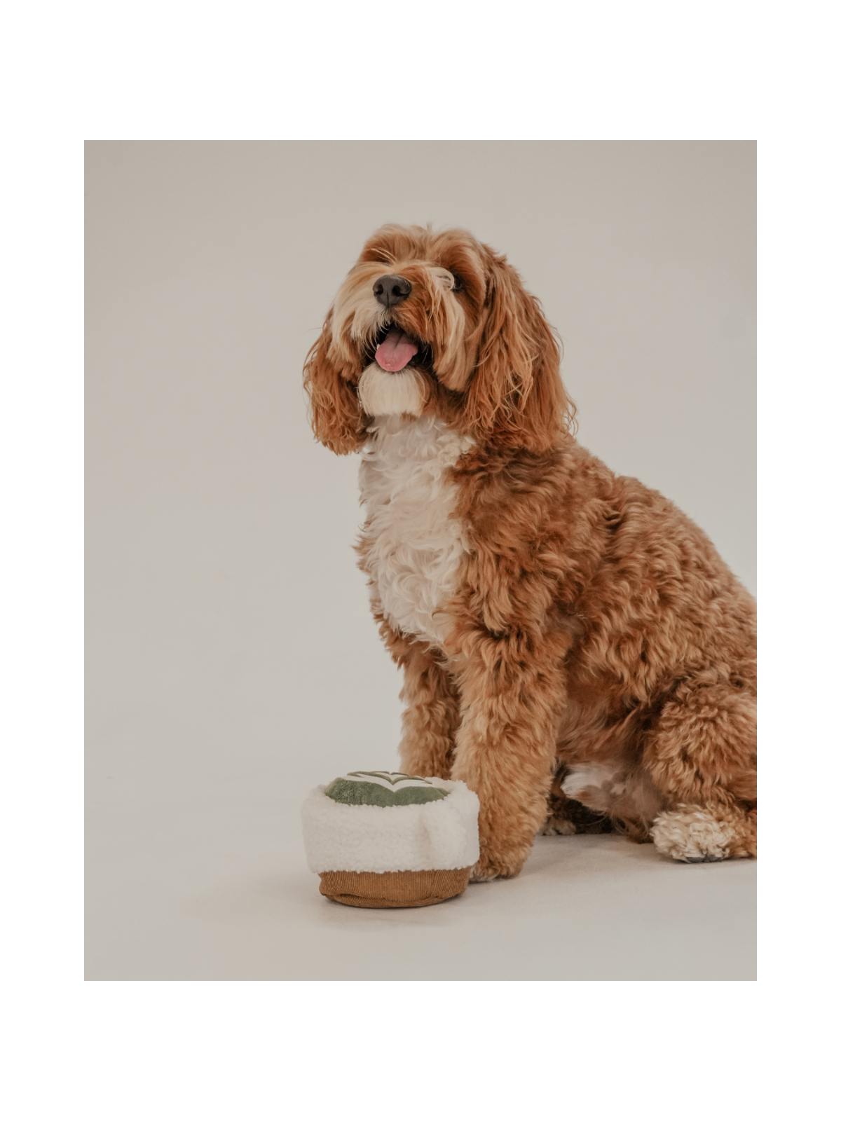 Matcha Latte Cup Interactive Dog Toy