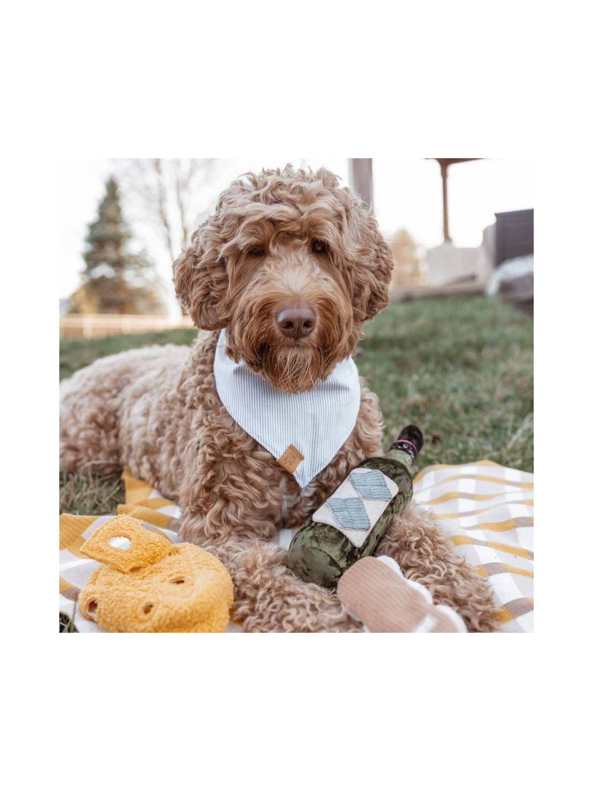 Merlot Enrichment Snuffle Toy