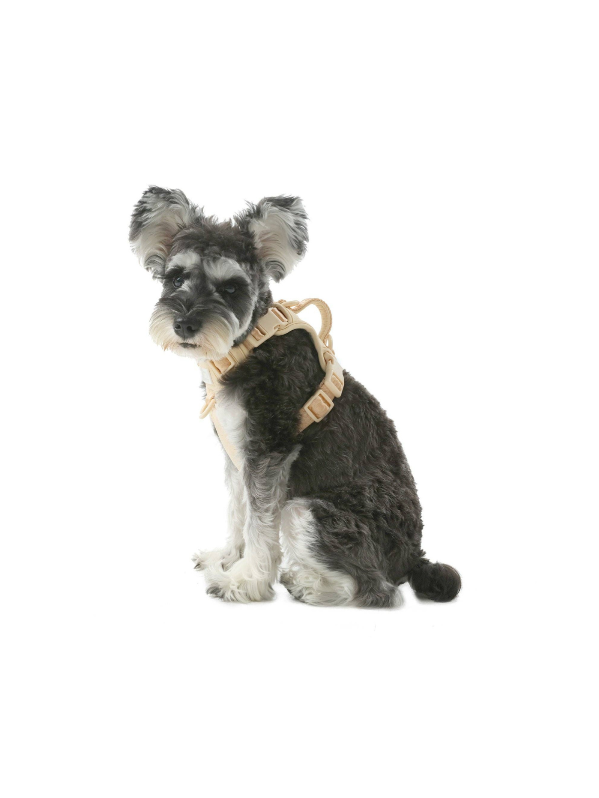 No Pull Active Dog Harness – Apricot