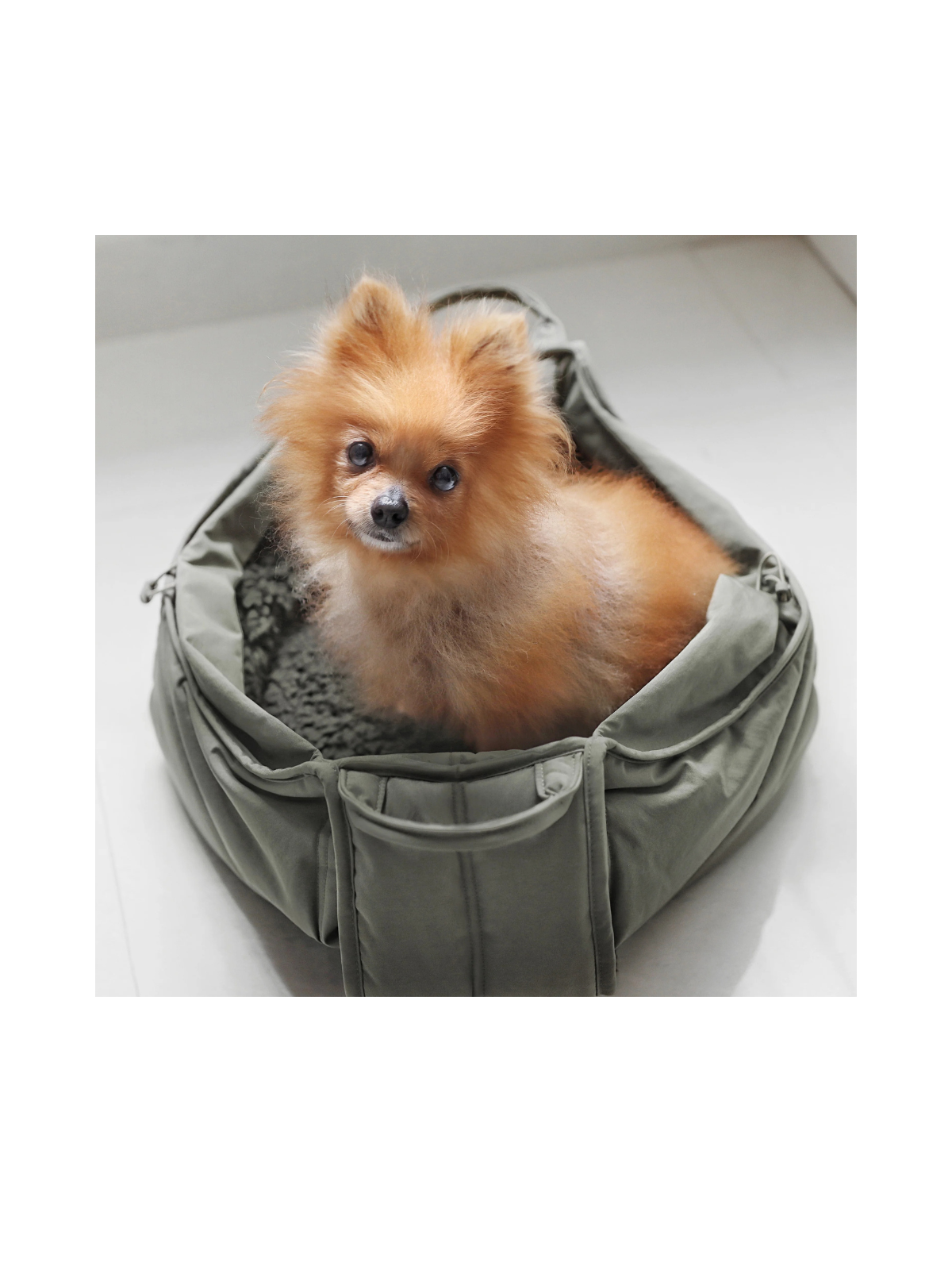 OLLA Petite Pet Carrycot – Fern