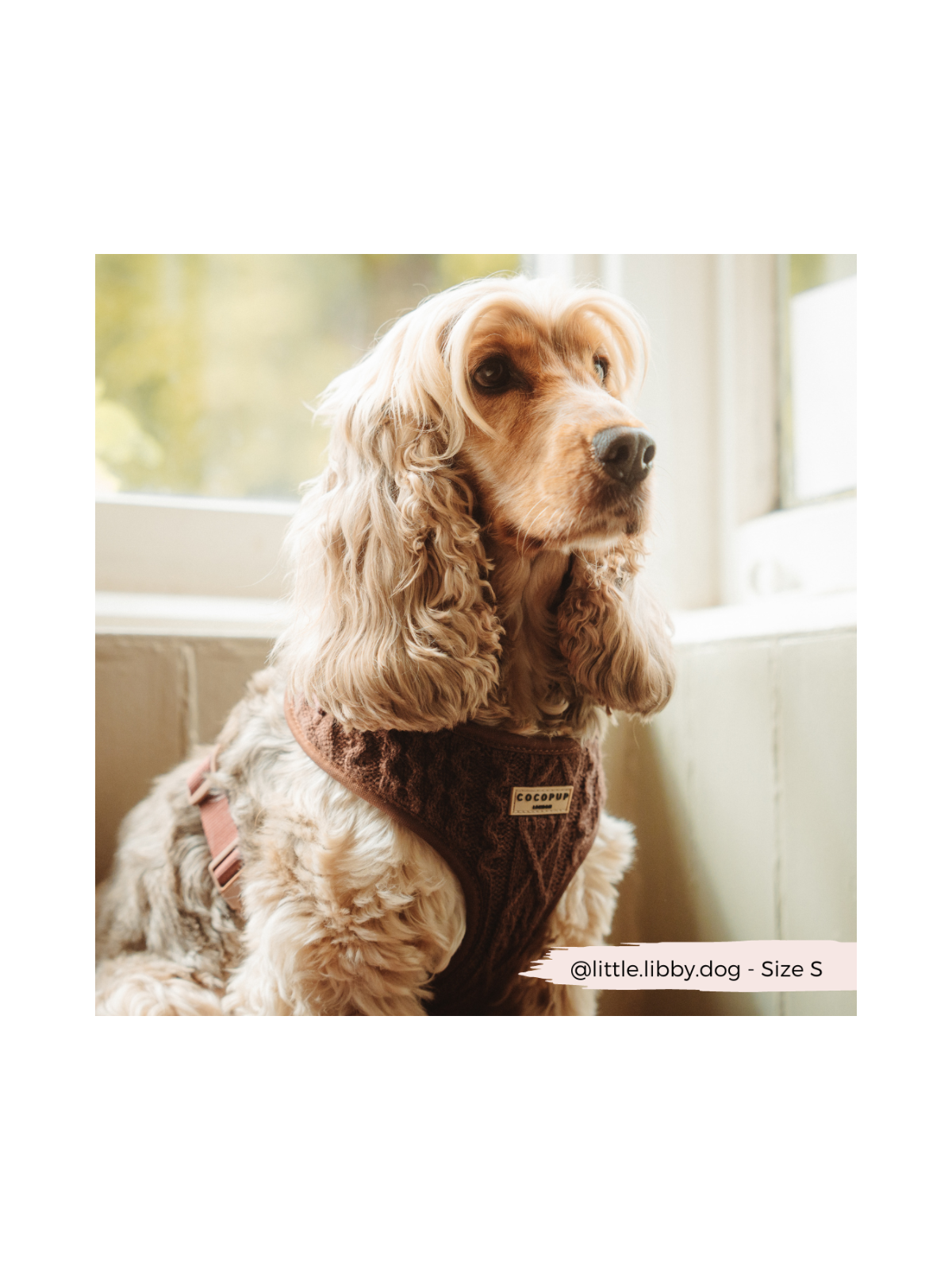 Cable Knit Jumper Adjustable Neck Harness - Hot Coco Brown