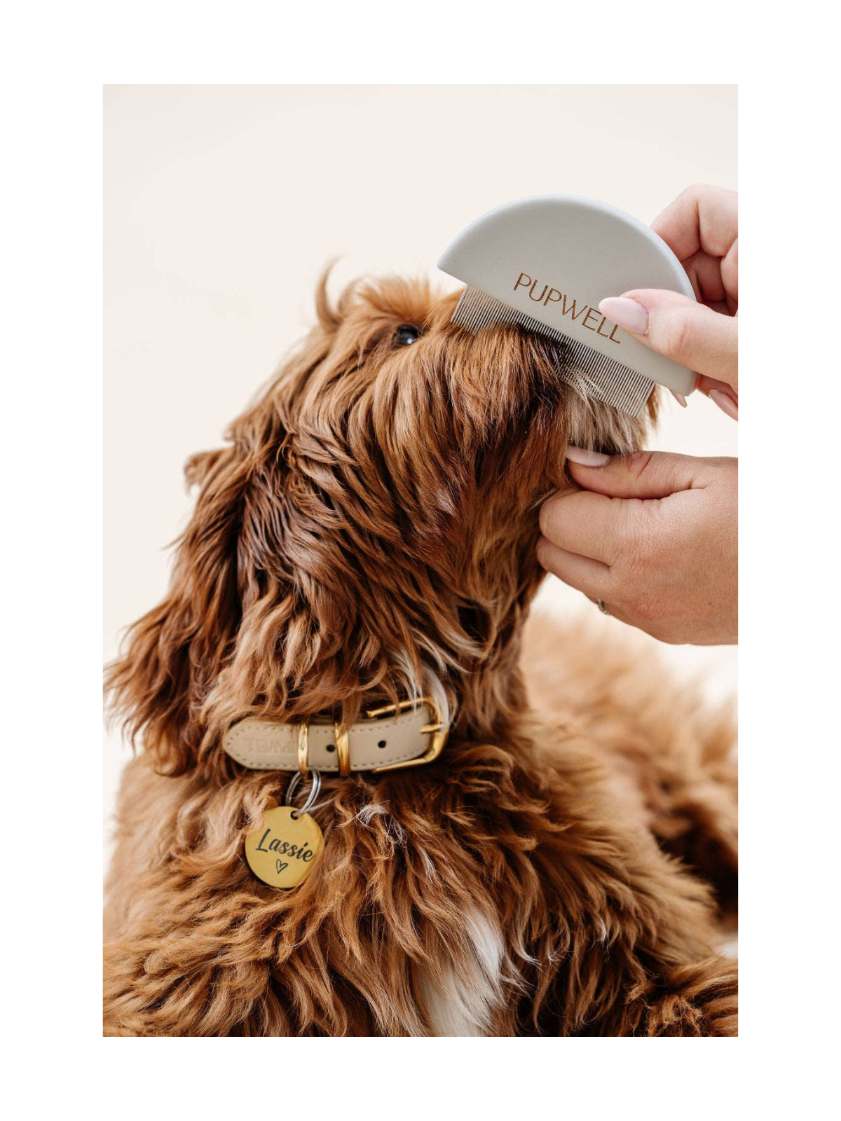 Detailer Comb