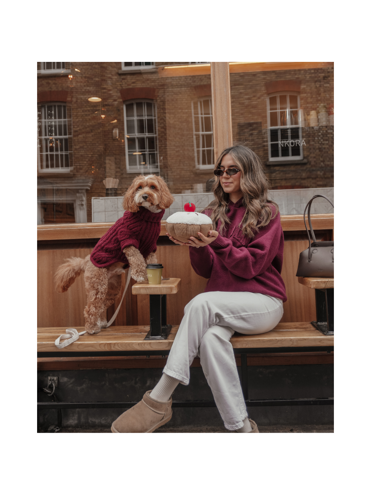 Cherry Bakewell Tart Interactive Dog Toy