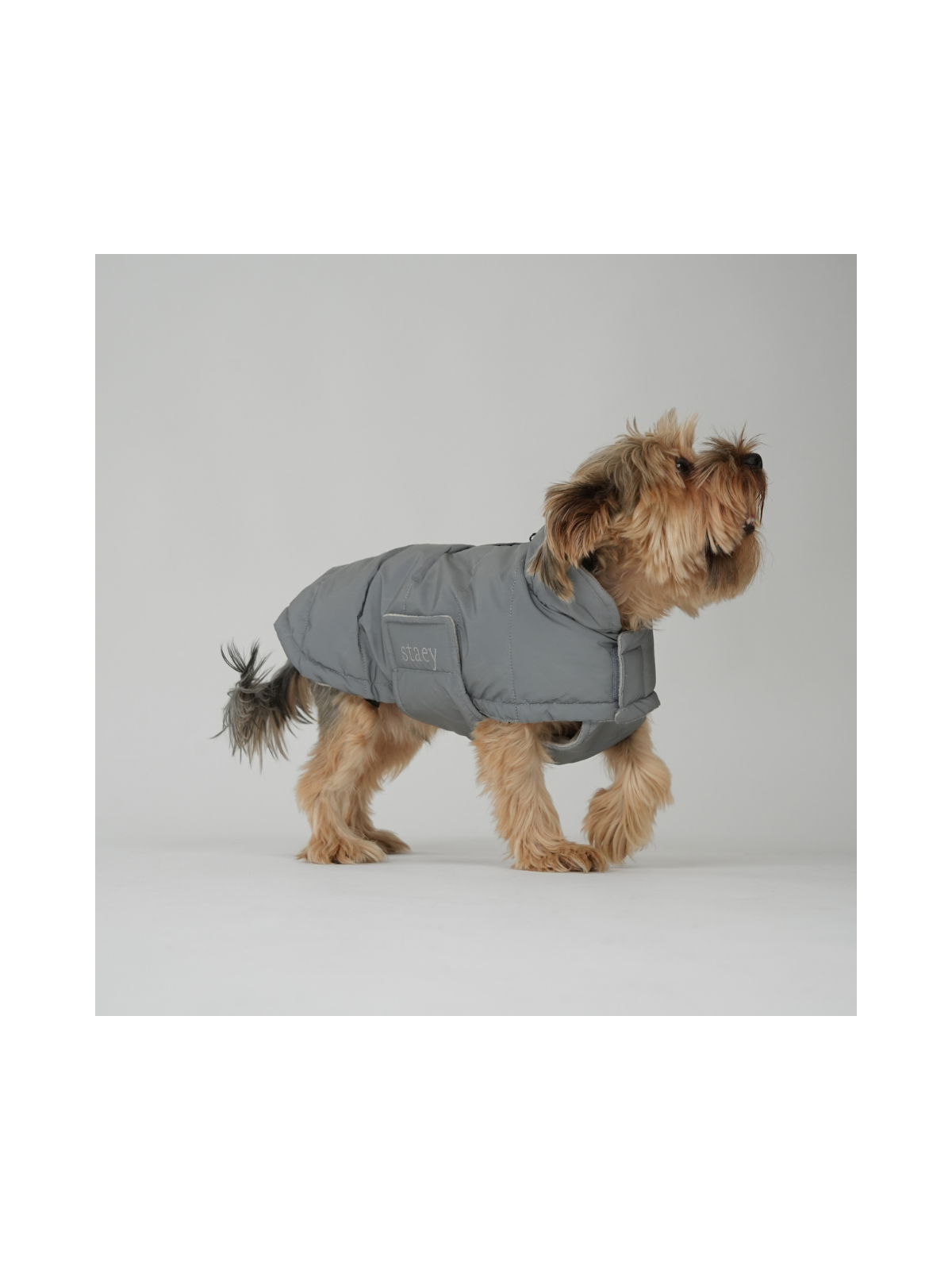 Nora Dog Coat – Reflective