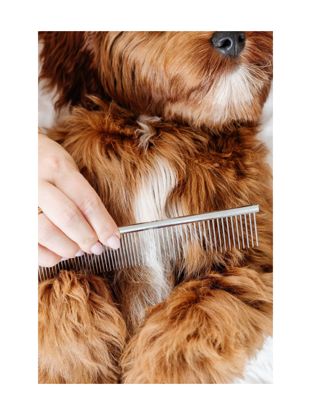 Everyday Comb