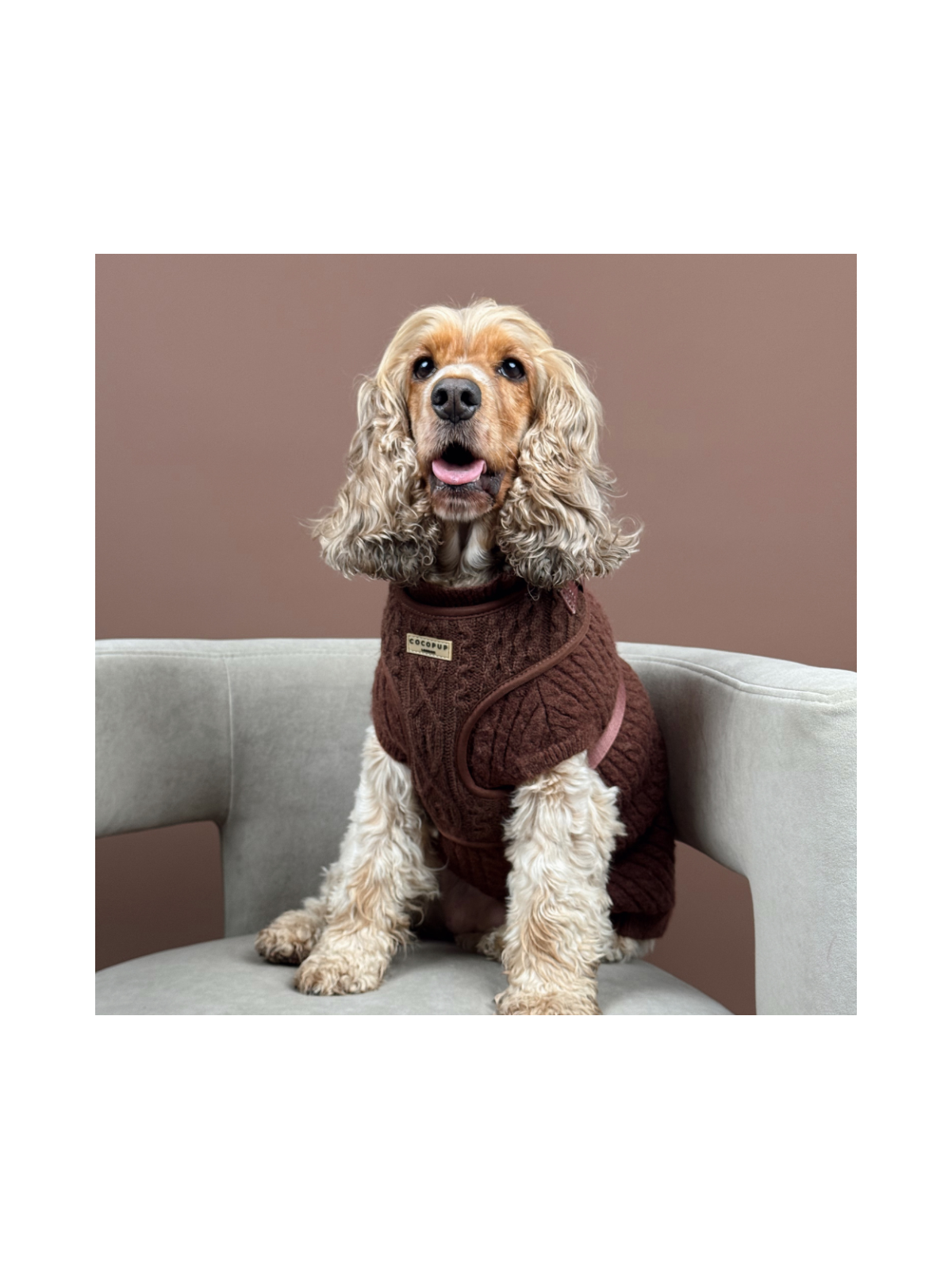 Cable Knit Dog Sweater - Hot Coco