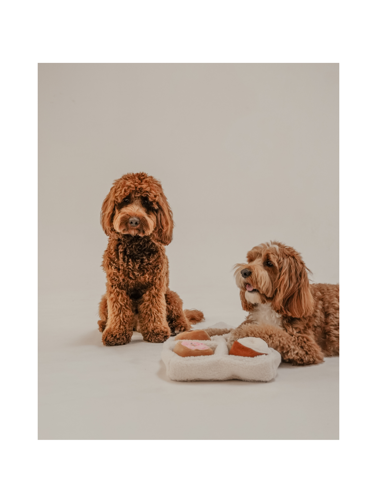 Donut Selection Box Interactive Dog Toy