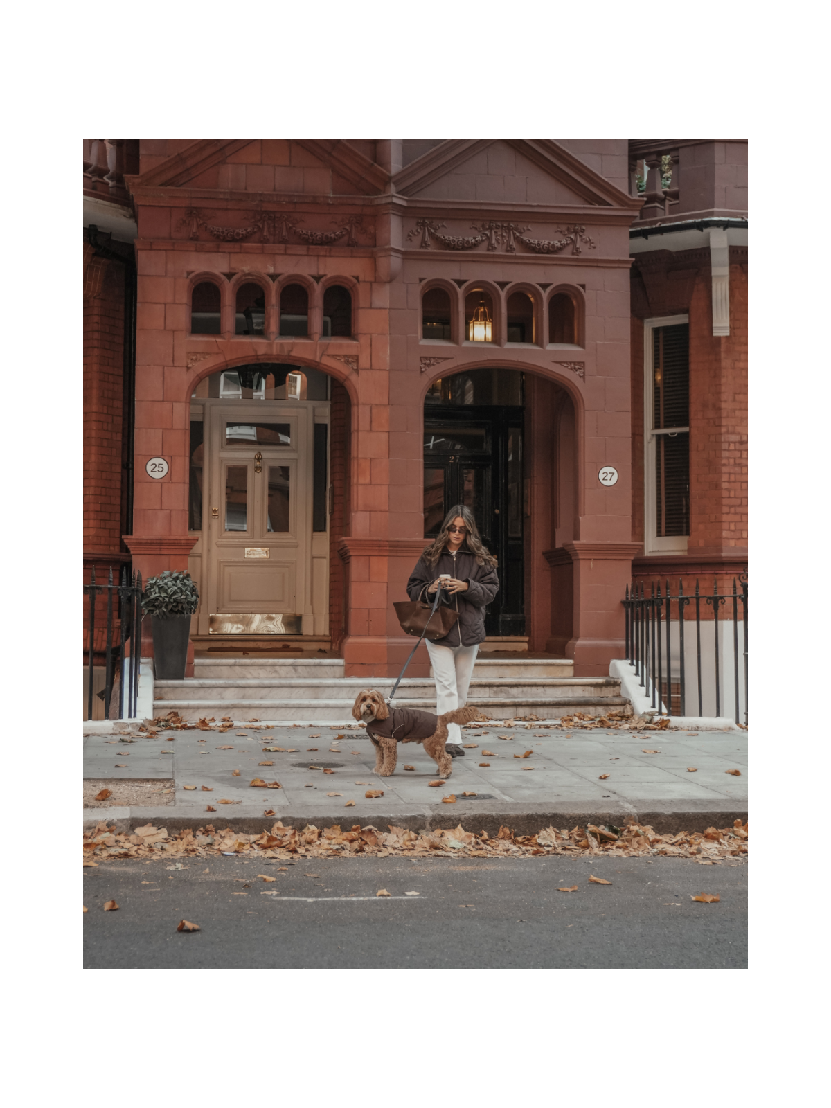 The Capsule Quilted Dog Coat – Chocolate