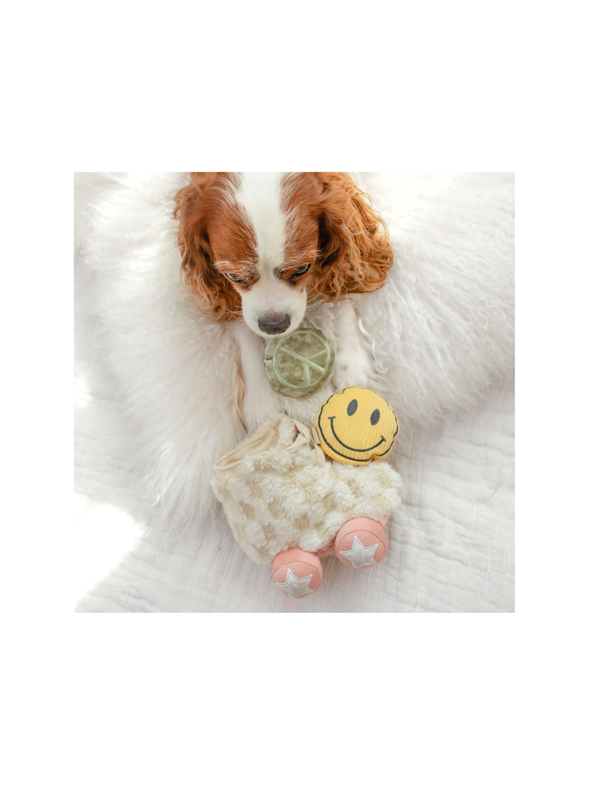 Roller Skate Snuffle Toy