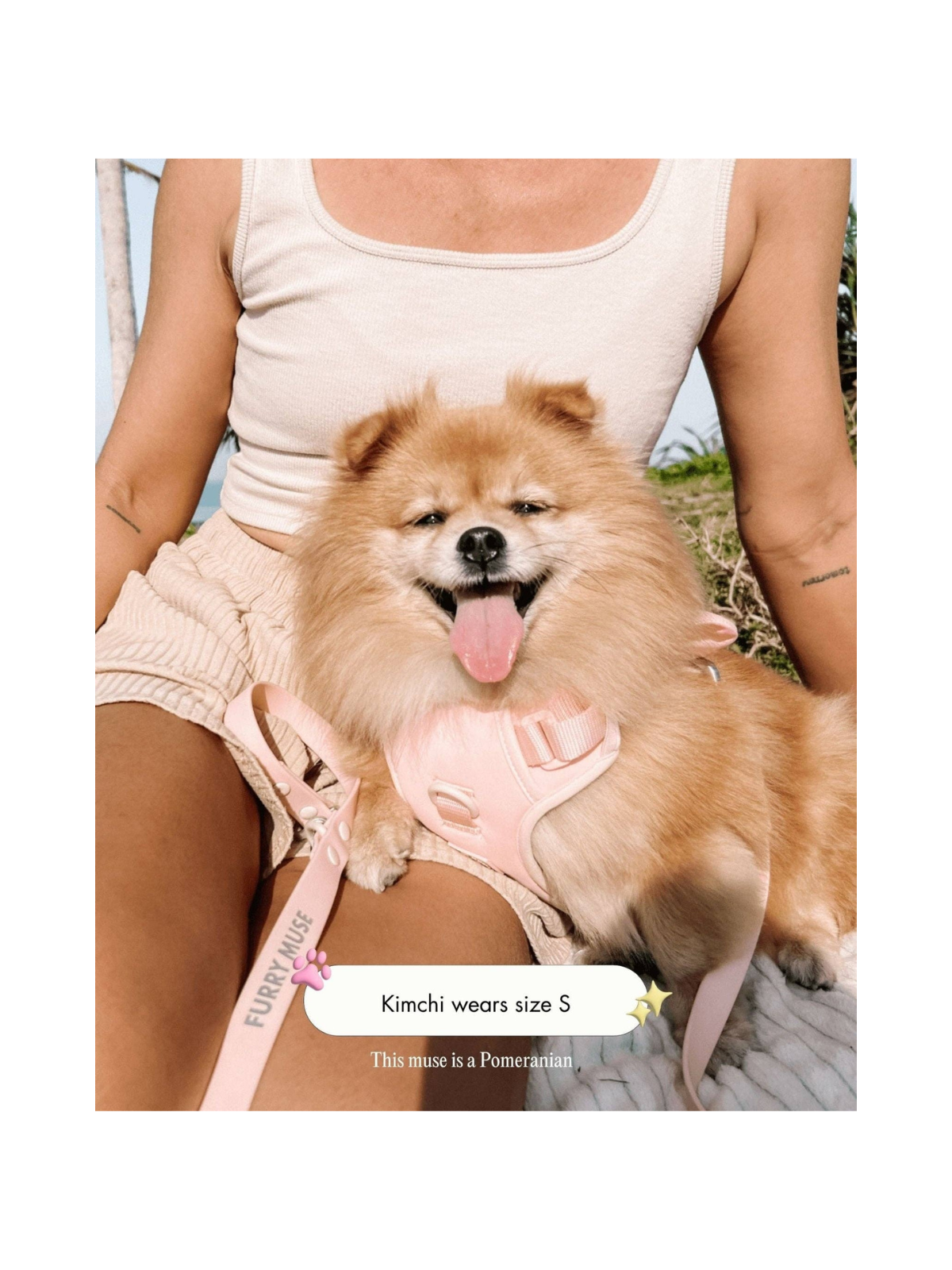 Wander! Bow Harness 2.0 – Blossom Pink